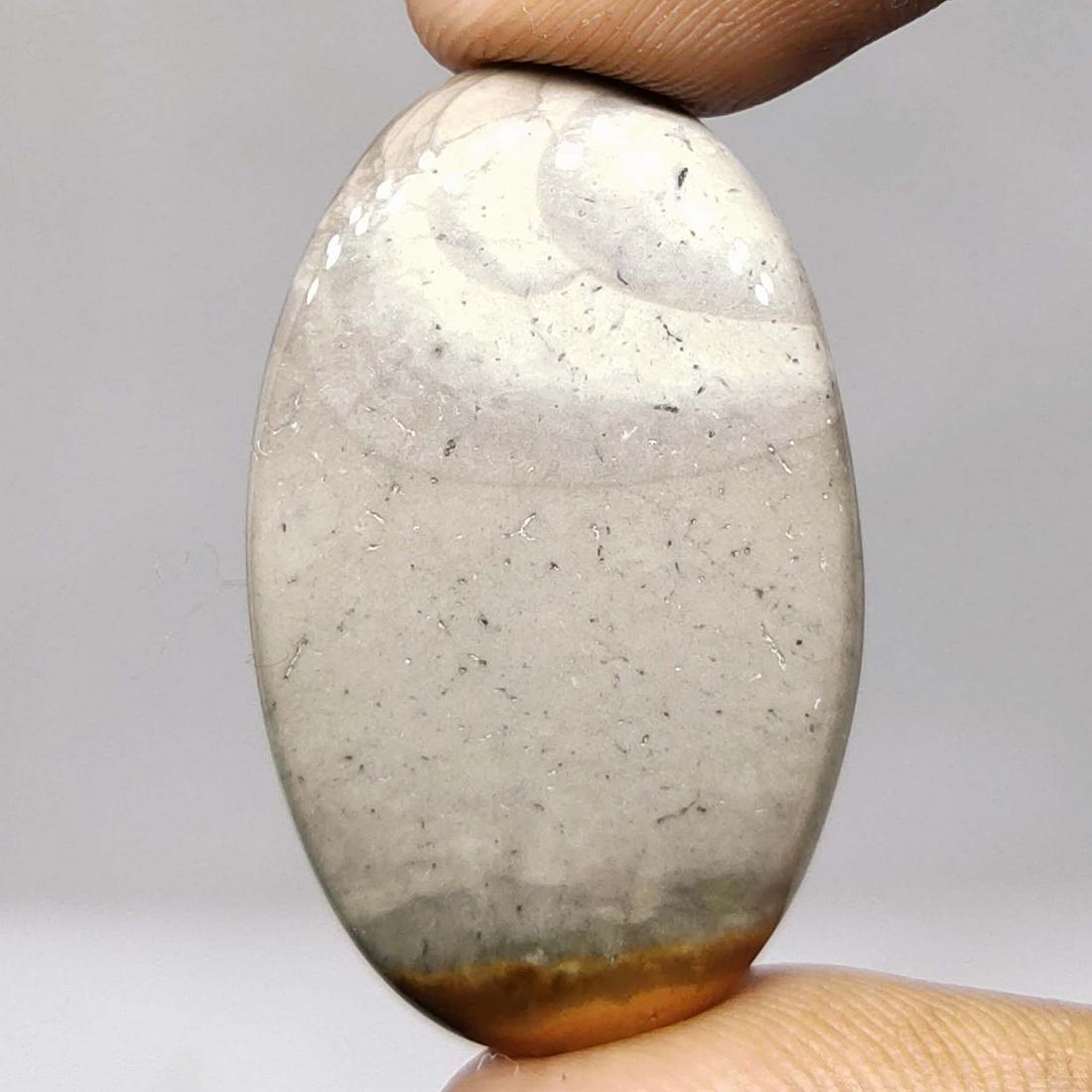 29.60 ct Natural Polygram Jasper (1 of 2)