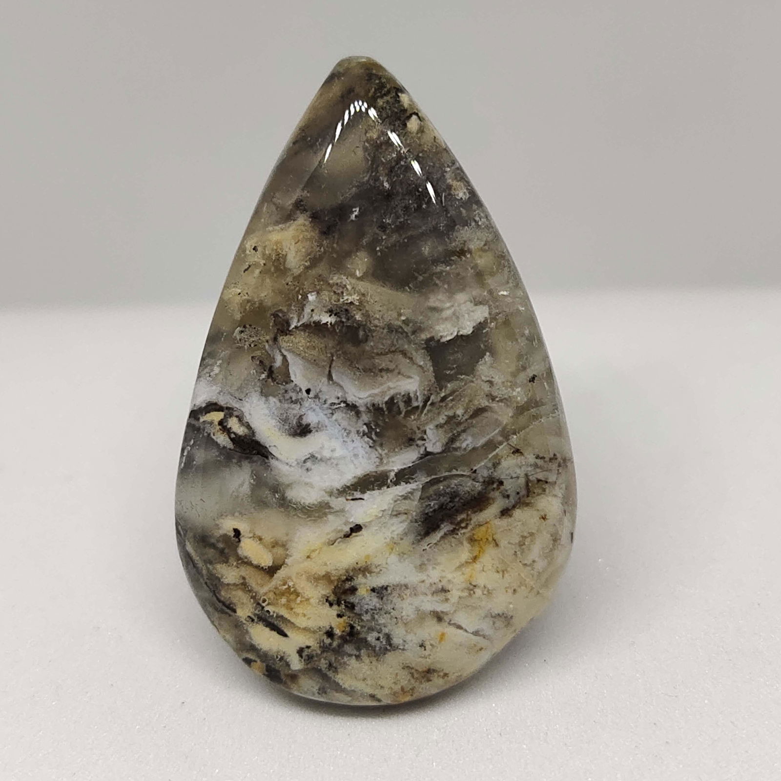 36.25 ct Natural Tiger Dendrite Agate (1 of 1)