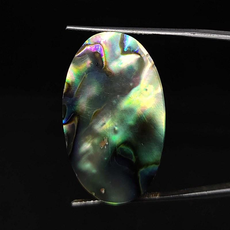 23.65 ct Natural Abalone Shell (1 of 1)
