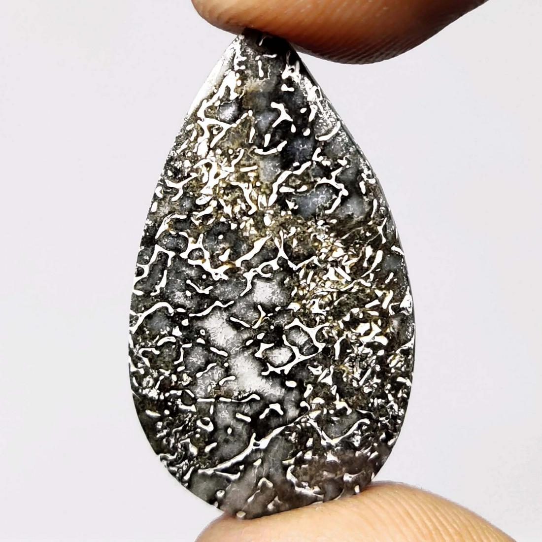 13.80 ct Rare Natural Dinosaur Bones Jasper (1 of 1)