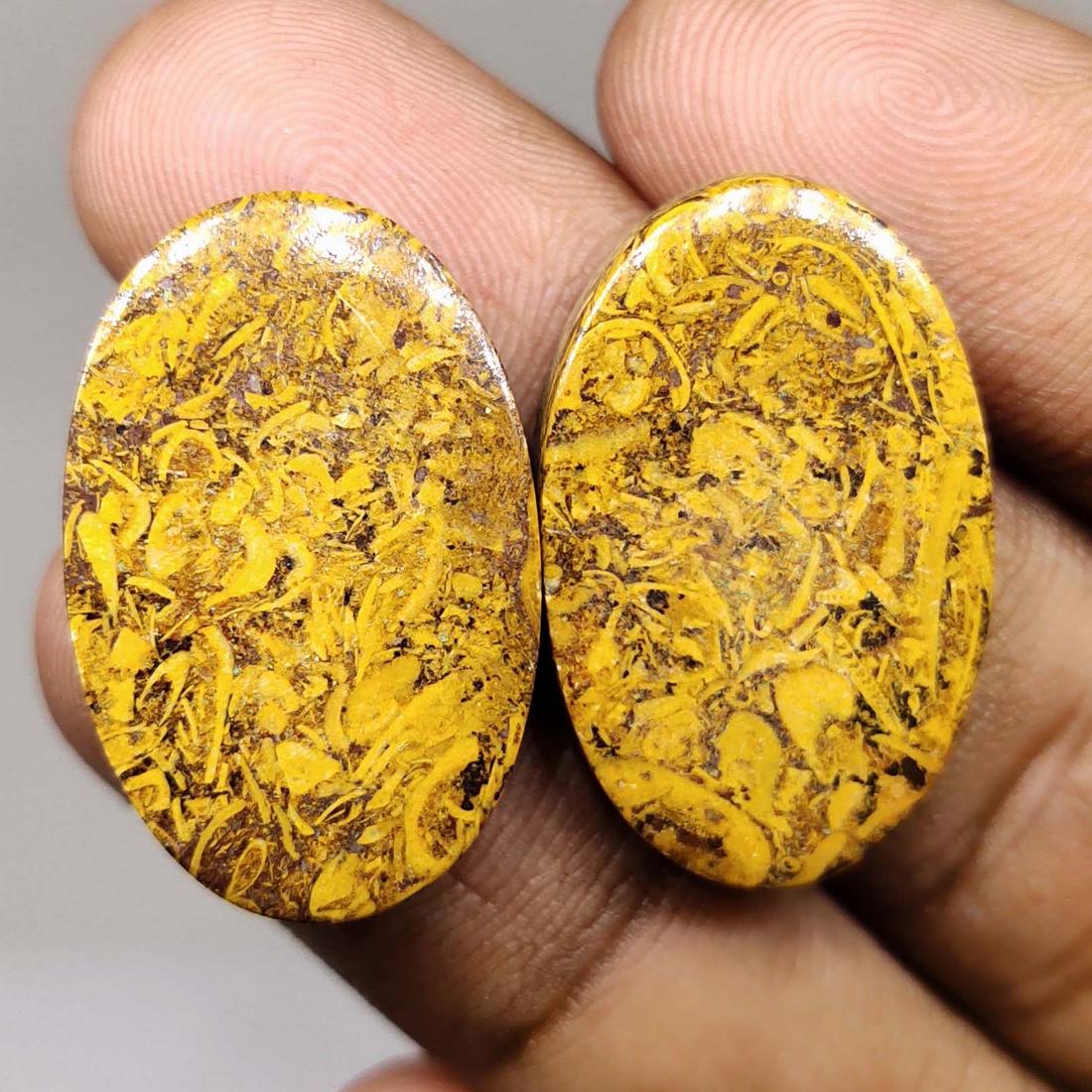 41.20 ct Natural Mariam Jasper Pair (1 of 1)