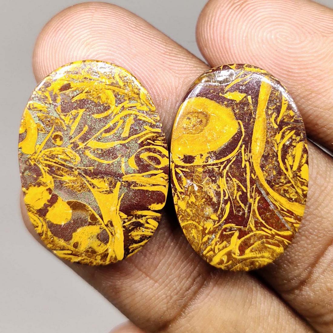35.70 ct Natural Mariam Jasper Pair (1 of 1)