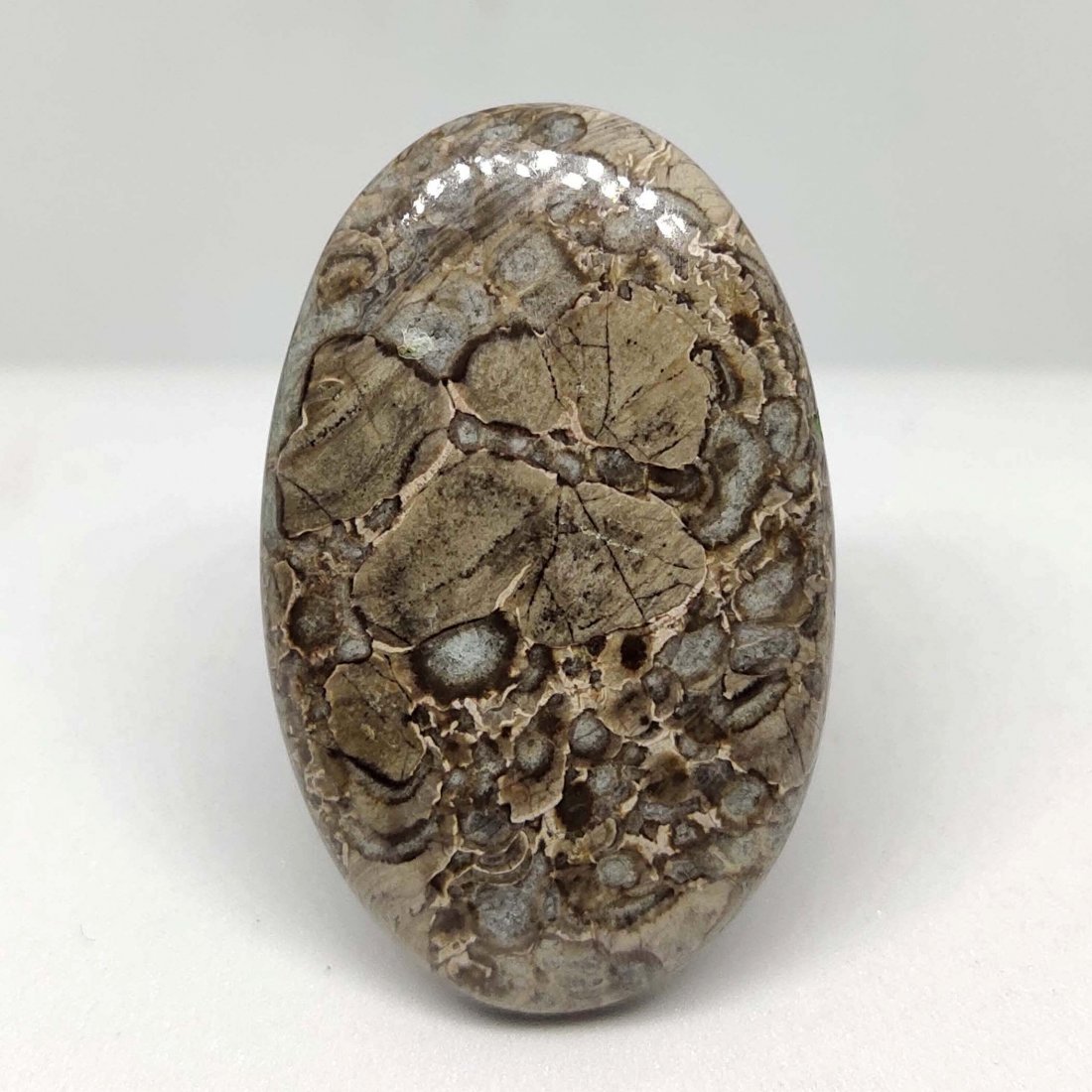 52.00 ct Natural Mushroom Jasper: All the stones listed are 100% natural and rarely selected from a big quantity lot also these are of very high quality. BID WITH CONFIDENCE!!! DIMENSIONS : 39X24X6 mm