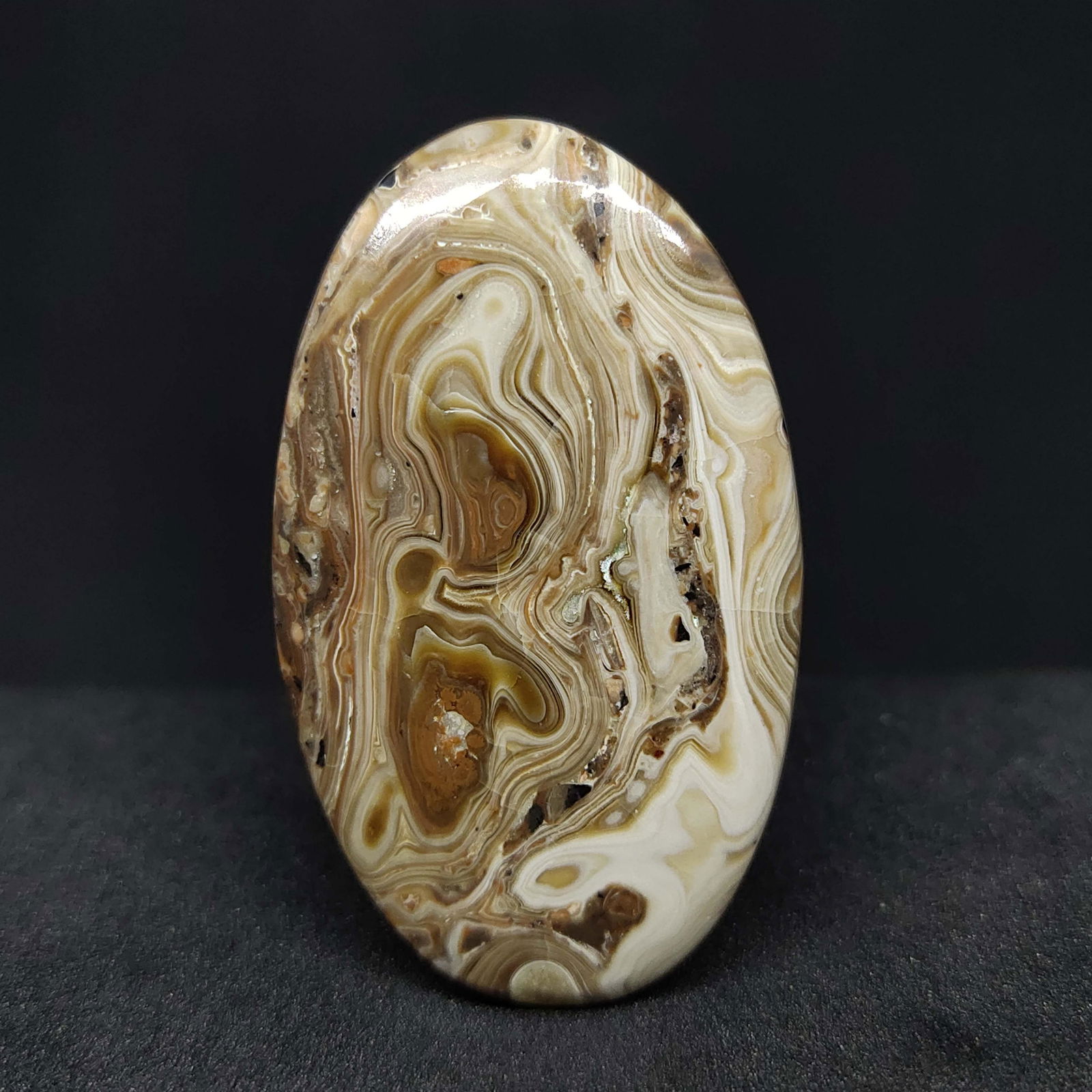 42.00 ct Natural Palm Root Agate (1 of 2)