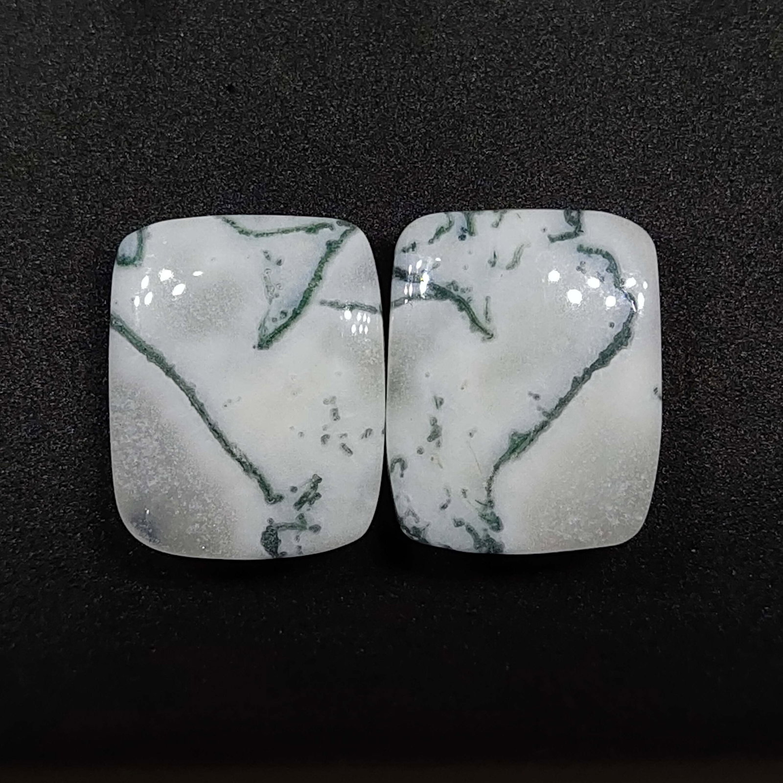 33.20 ct Natural Tree Agate Pair (1 of 1)