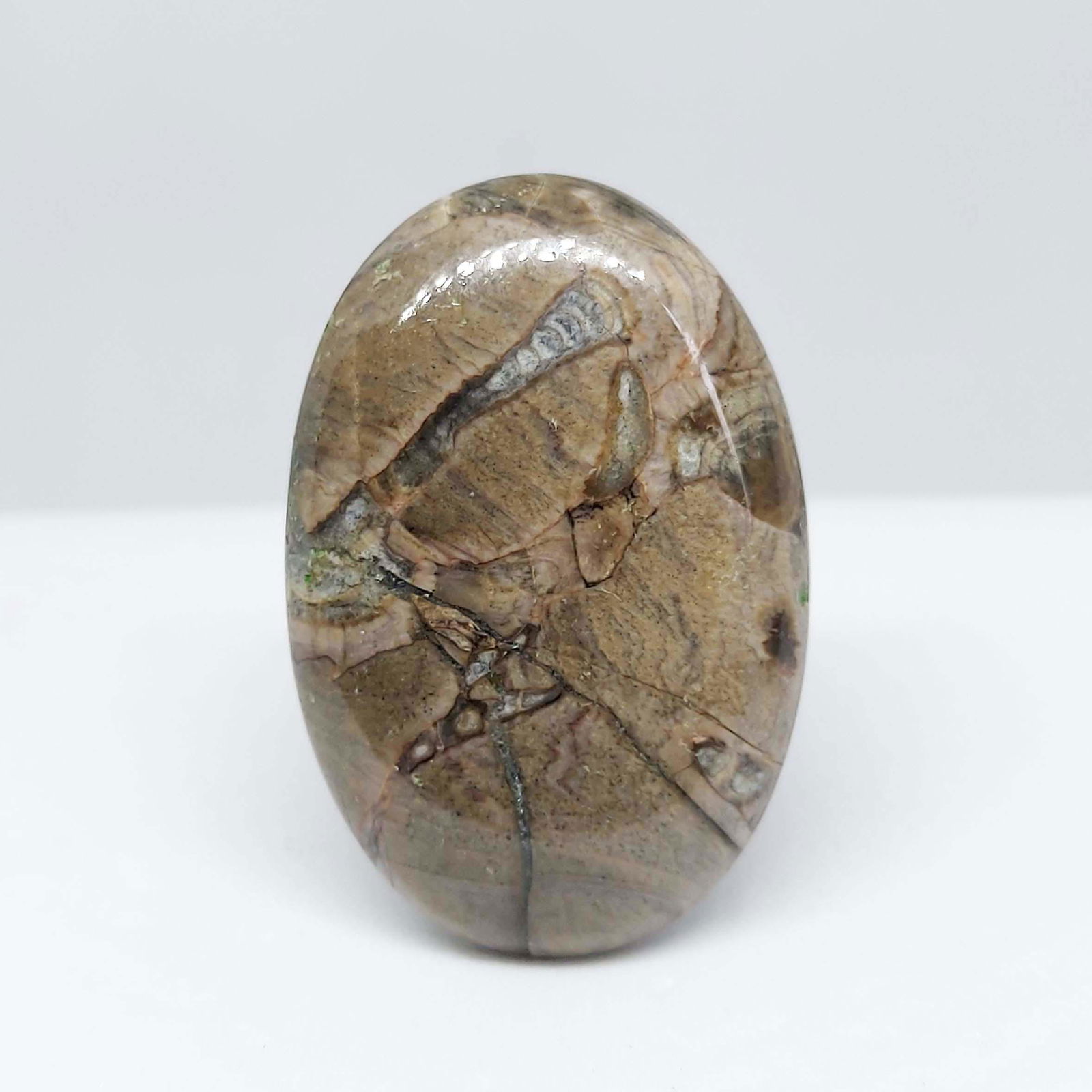 49.40 ct Natural Mushroom Jasper: All the stones listed are 100% natural and rarely selected from a big quantity lot also these are of very high quality. BID WITH CONFIDENCE!!! DIMENSIONS : 35X24X7 mm