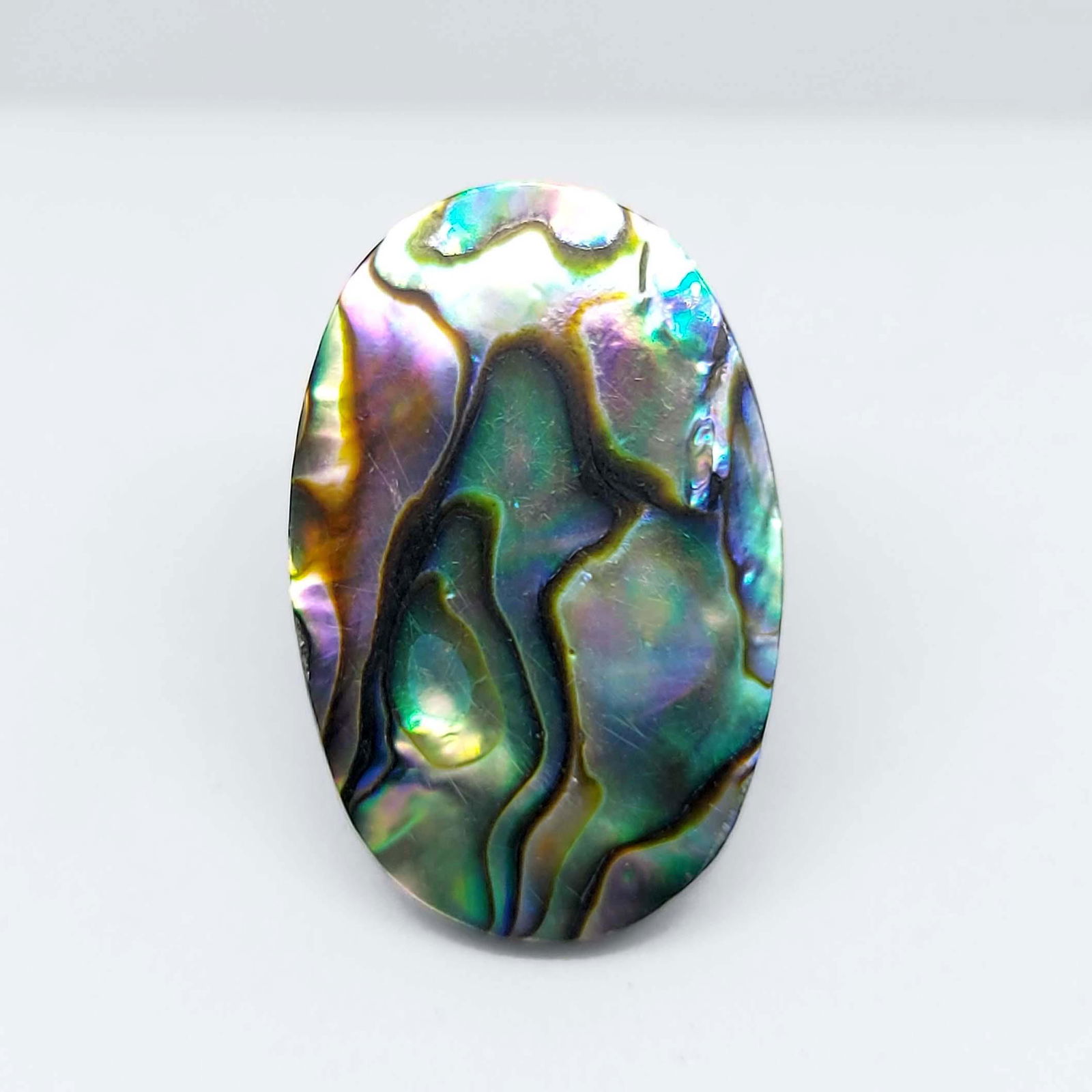 14.20 ct Natural Abalone Shell (1 of 1)