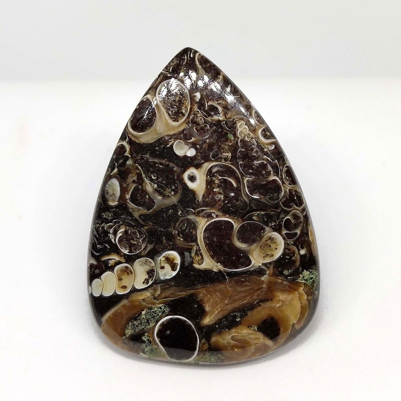 61.50 ct Top Grade Natural Turtella Jasper: All the stones listed are 100% natural and rarely selected from a big quantity lot also these are of very high quality. BID WITH CONFIDENCE!!! DIMENSIONS : 45X33X5 mm