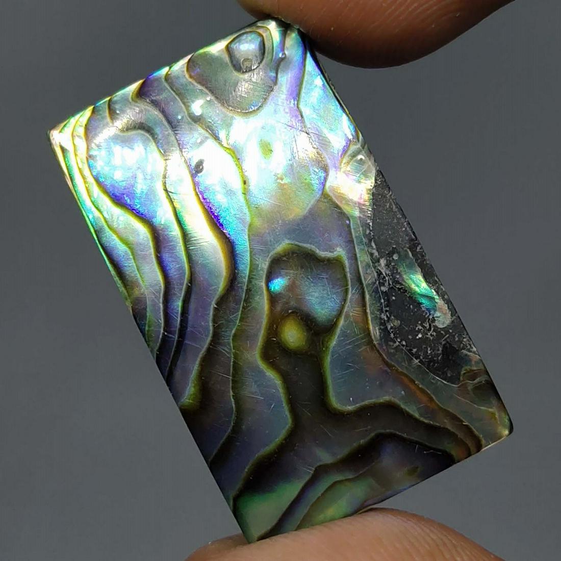 21.60 ct Natural Abalone Shell (1 of 1)