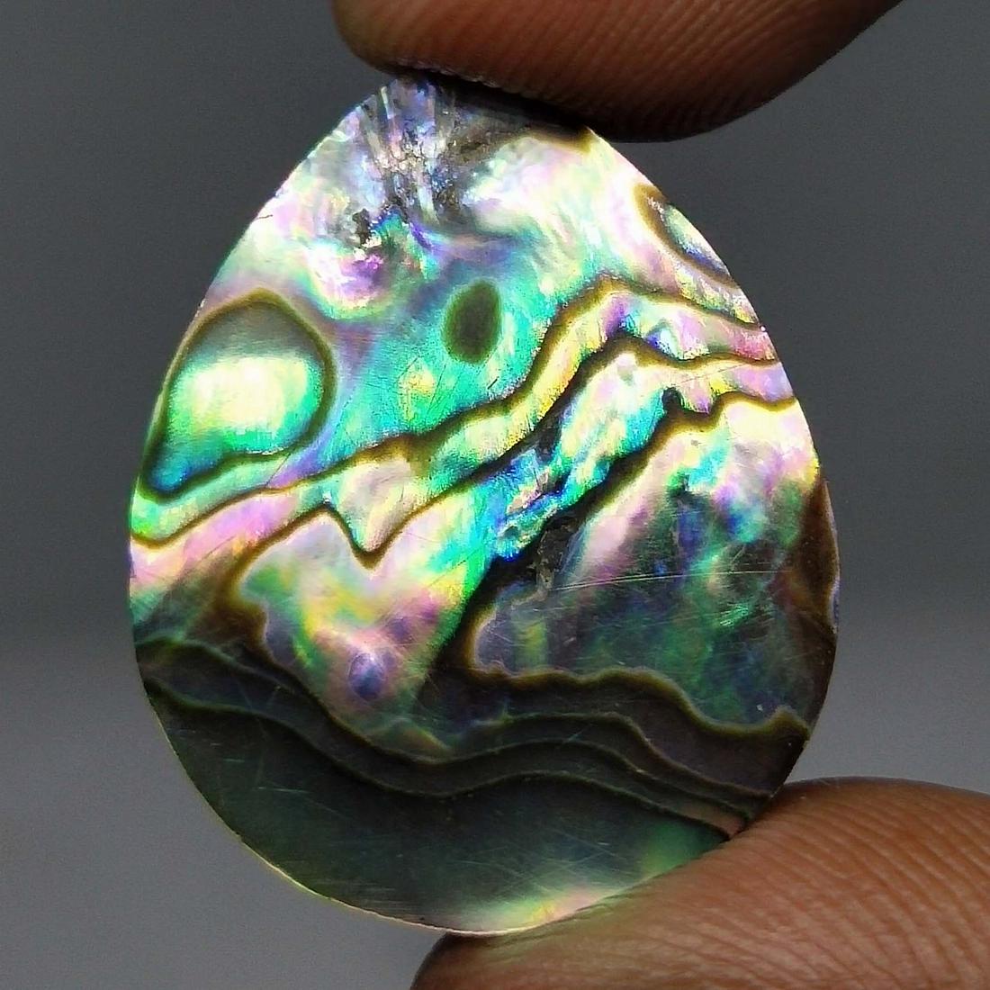 22.15 ct Natural Abalone Shell (1 of 1)