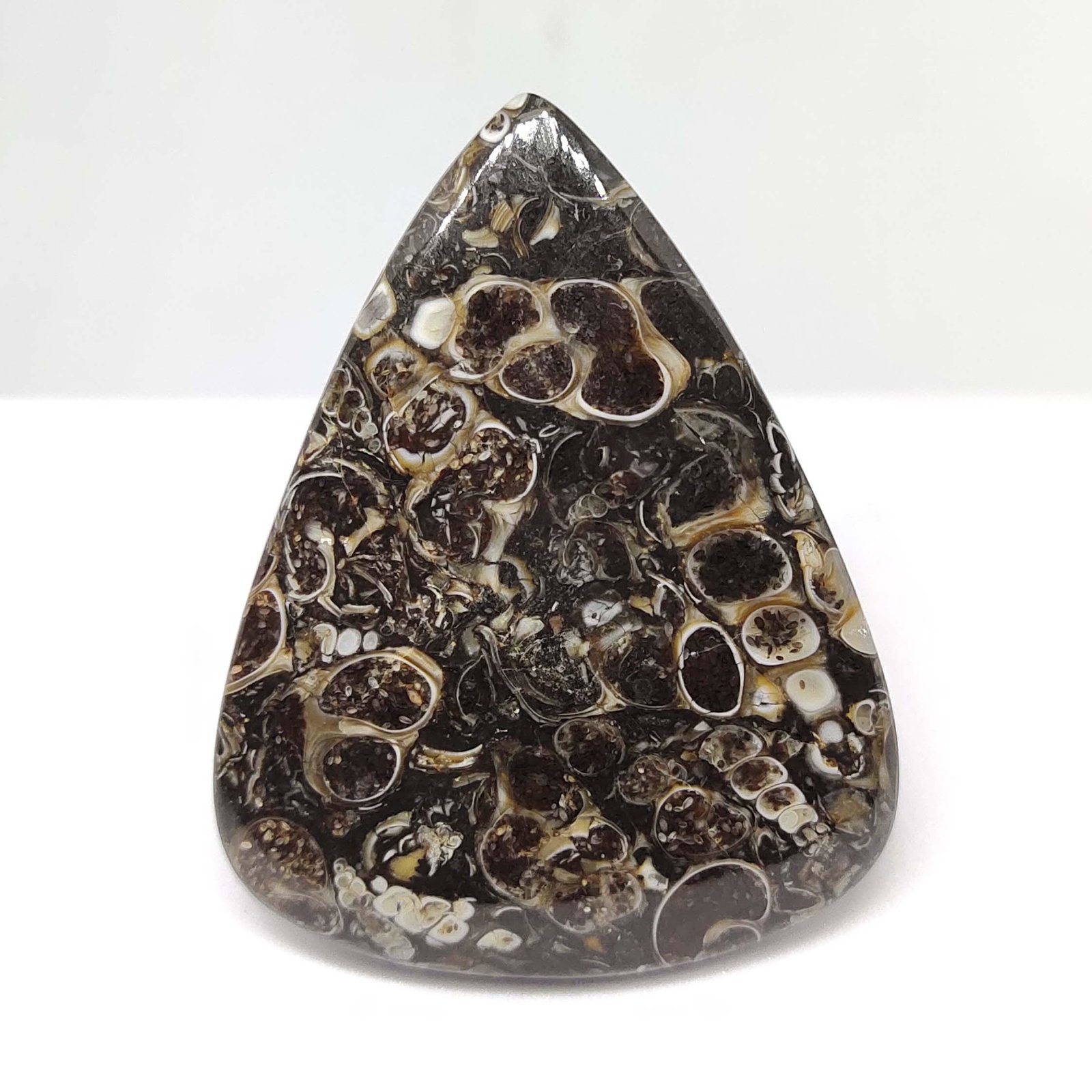 78.10 ct Natural Turtella Jasper: All the stones listed are 100% natural and rarely selected from a big quantity lot also these are of very high quality. BID WITH CONFIDENCE!!! DIMENSIONS : 47X37X6 mm