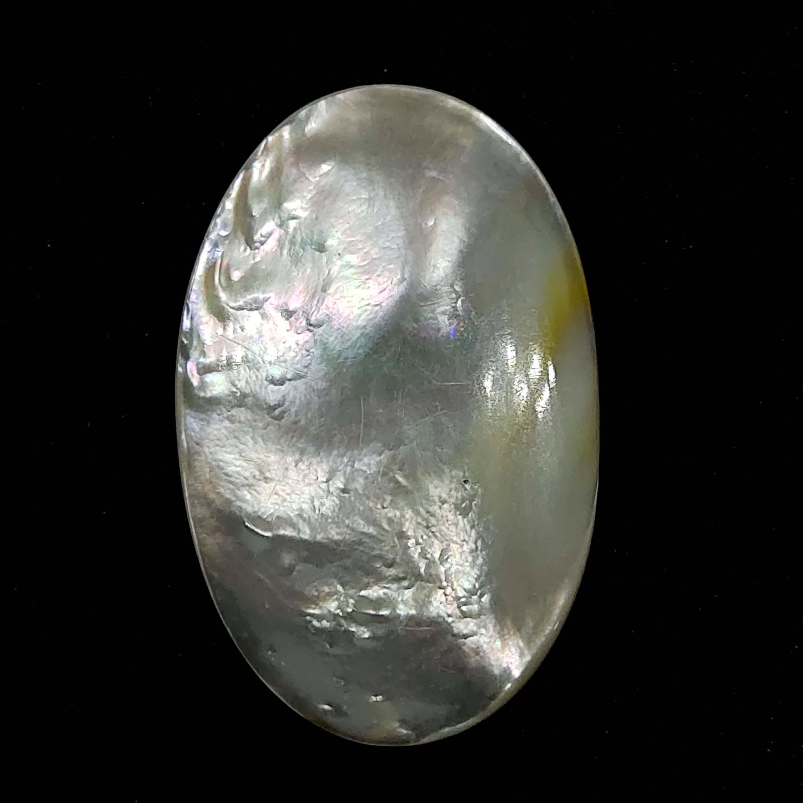 34.35 ct Natural Rainbow Abalone Shell (1 of 1)