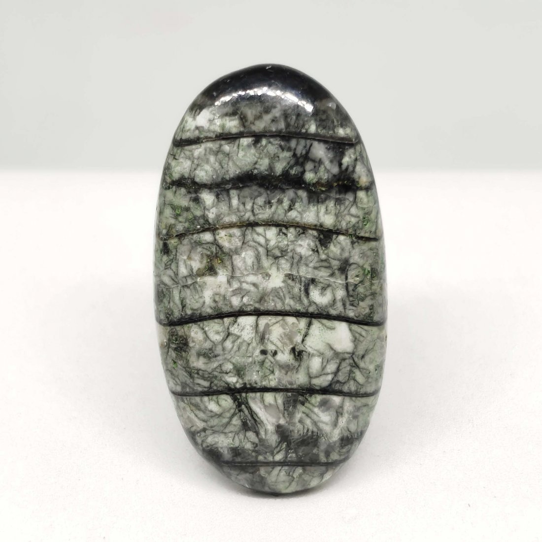 20.80ct Natural Orthoceras Fossil: All the stones listed are 100% natural and rarely selected from a big quantity lot also these are of very high quality. BID WITH CONFIDENCE!!! DIMENSIONS : 32X17X4mm
