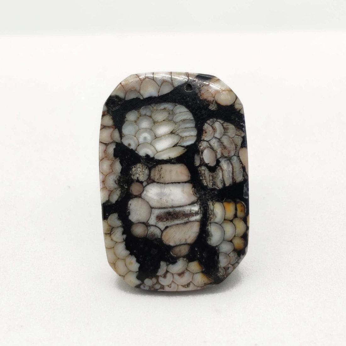 13.95 ct Very Rare Natural Snake Skin Fossil: All the stones listed are 100% natural and rarely selected from a big quantity lot also these are of very high quality. BID WITH CONFIDENCE!!! DIMENSIONS : 20X14X6 mm