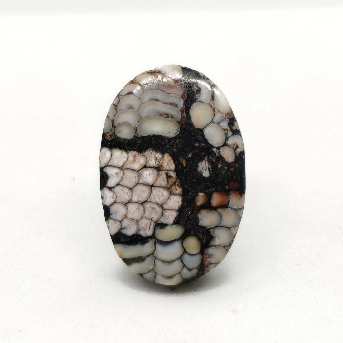 9.38 ct Very Rare Natural Snake Skin Fossil: All the stones listed are 100% natural and rarely selected from a big quantity lot also these are of very high quality. BID WITH CONFIDENCE!!! DIMENSIONS : 18X12X5 mm