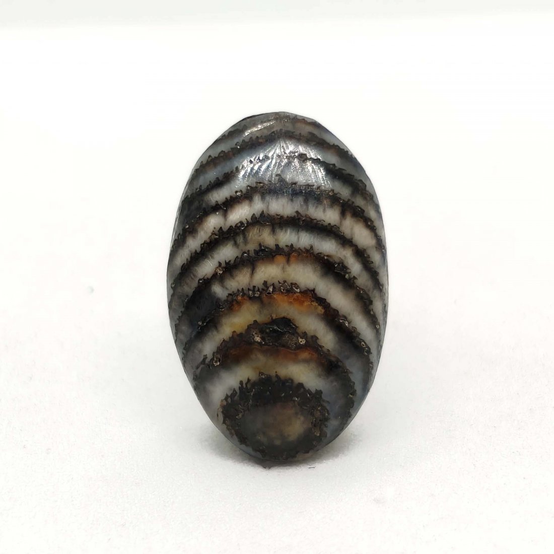 8.05 ct Very Rare Natural Snake Skin Fossil: All the stones listed are 100% natural and rarely selected from a big quantity lot also these are of very high quality. BID WITH CONFIDENCE!!! DIMENSIONS : 16X10X6 mm
