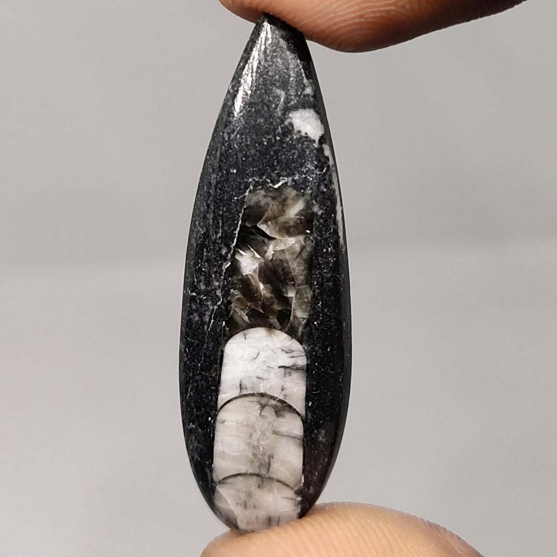 15.30 ct Natural Orthoceras Fossil: All the stones listed are 100% natural and rarely selected from a big quantity lot also these are of very high quality. BID WITH CONFIDENCE!!! DIMENSIONS : 37.75X12.12X4.59 mm