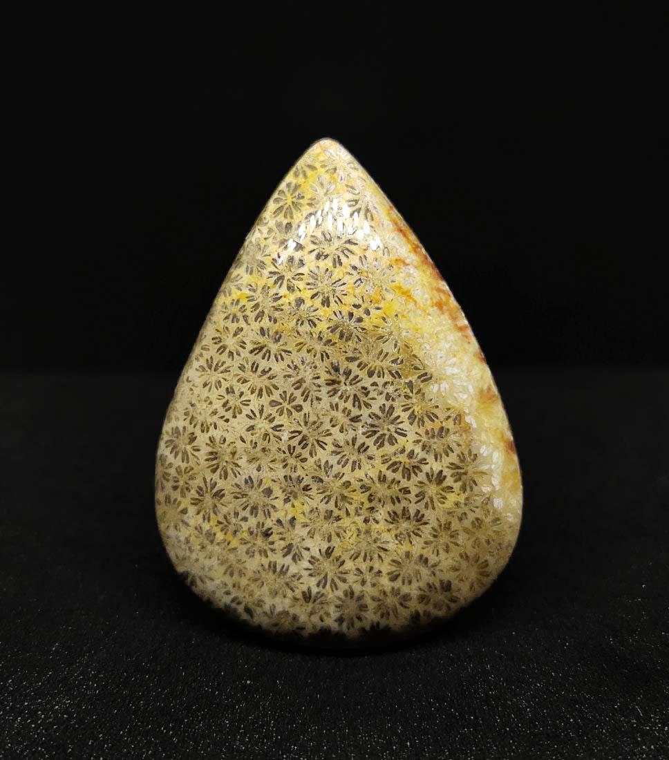 35.55 ct Natural Fossil Coral: All the stones listed are 100% natural and rarely selected from a big quantity lot also these are of very high quality. BID WITH CONFIDENCE!!! DIMENSIONS : 34X24.9X6.4 mm
