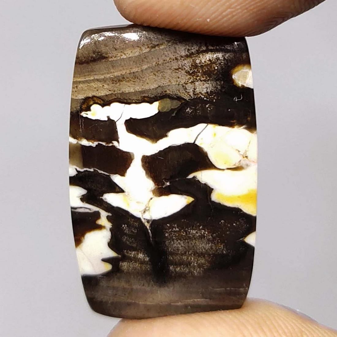19.15 ct Natural Peanut Jasper (1 of 2)