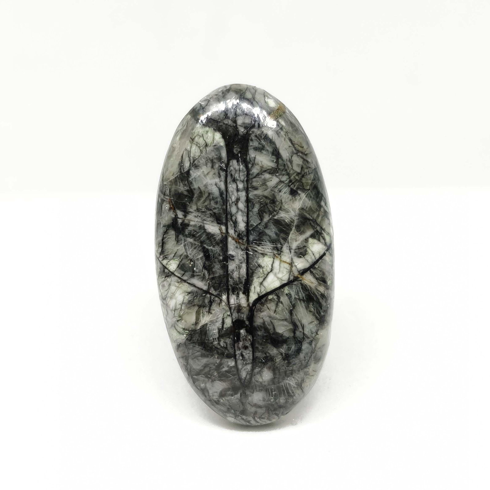 30.25 ct Natural Orthoceras Fossil: All the stones listed are 100% natural and rarely selected from a big quantity lot also these are of very high quality. BID WITH CONFIDENCE!!! DIMENSIONS : 33X17X6 mm