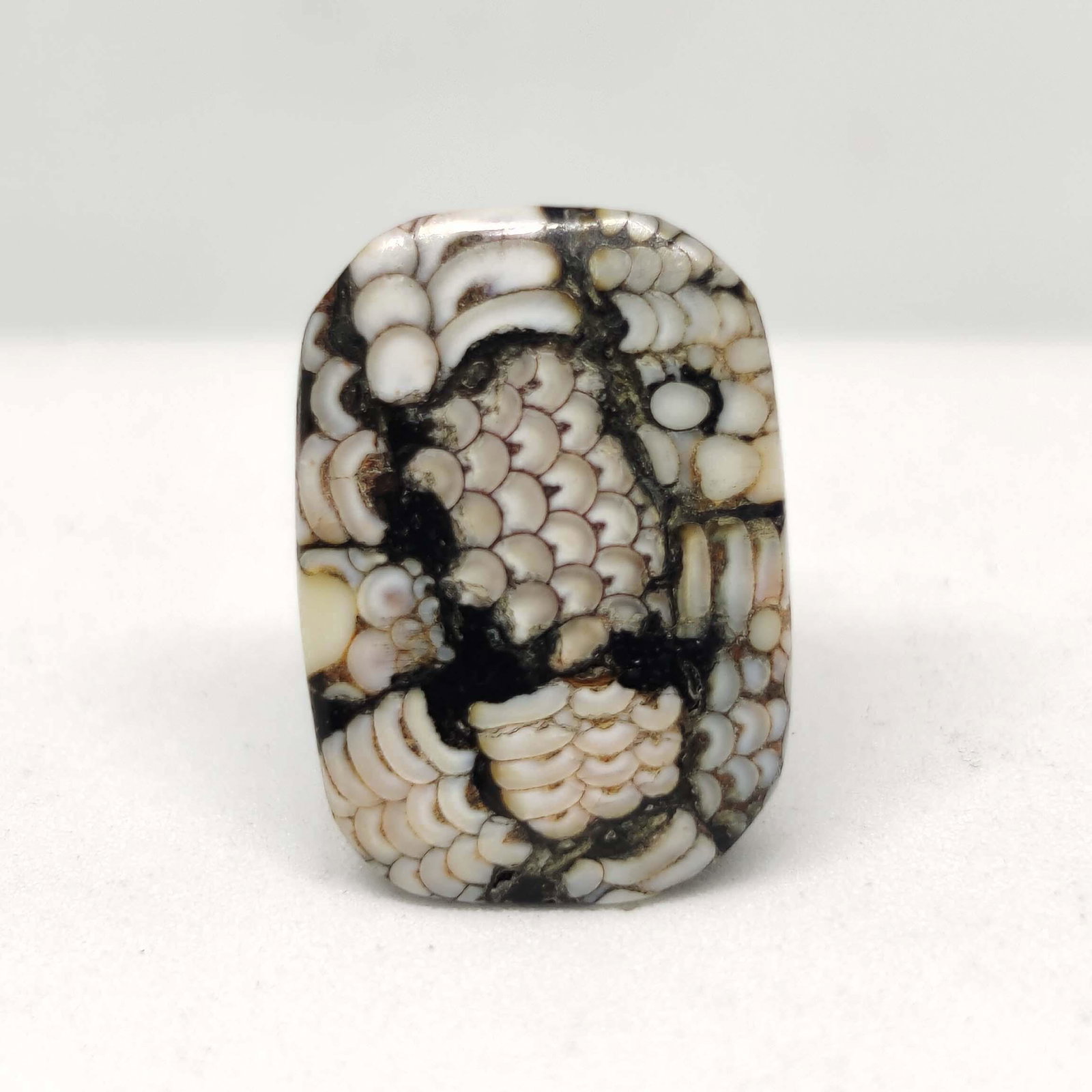 14.45 ct Very Rare Natural Snake Skin Fossil: All the stones listed are 100% natural and rarely selected from a big quantity lot also these are of very high quality. BID WITH CONFIDENCE!!! DIMENSIONS : 20X14X6 mm