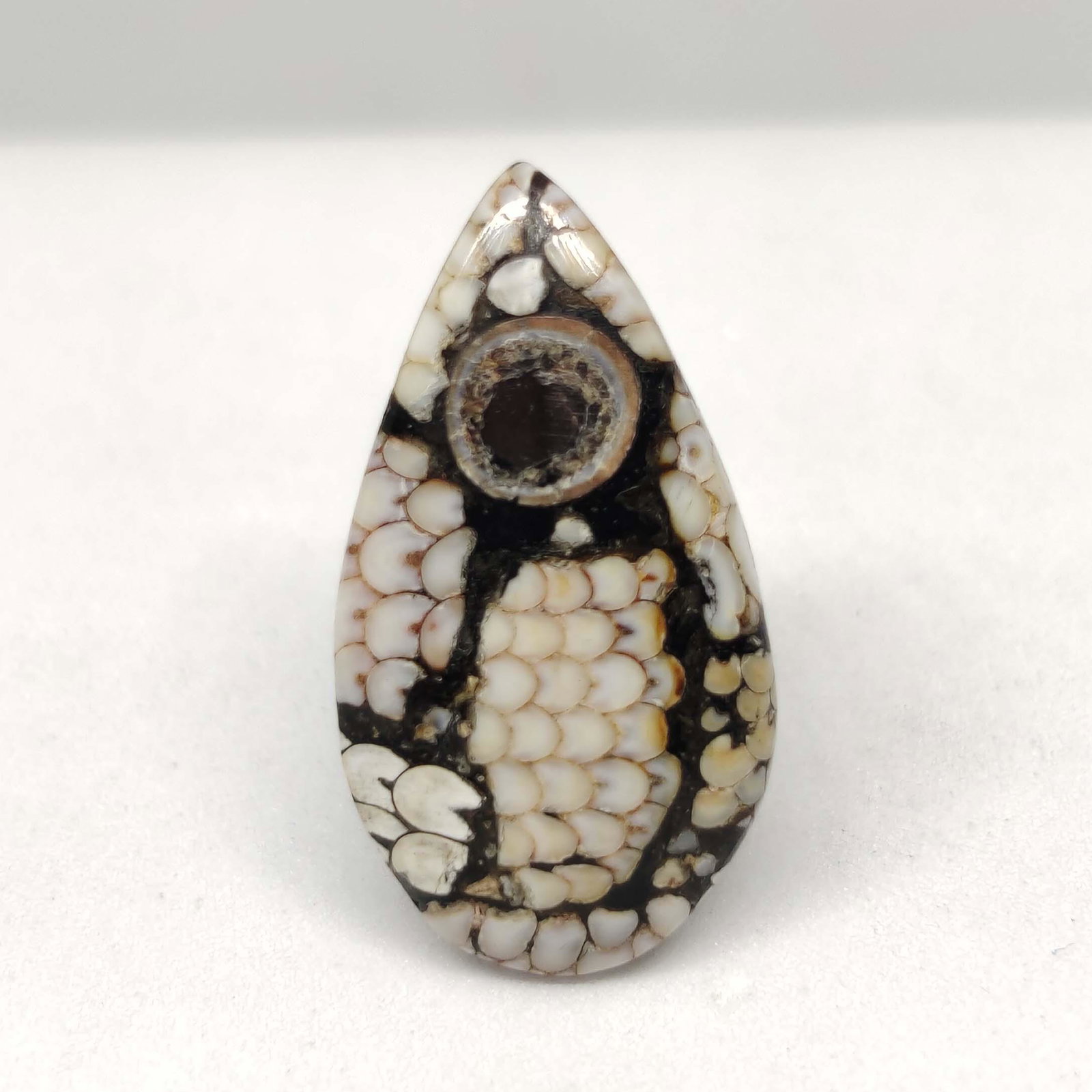 11.45ct Very Rare Natural Snake Skin Fossil: All the stones listed are 100% natural and rarely selected from a big quantity lot also these are of very high quality. BID WITH CONFIDENCE!!! DIMENSIONS : 23X12X5.6mm