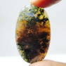 41.10ct Natural Moss Agate