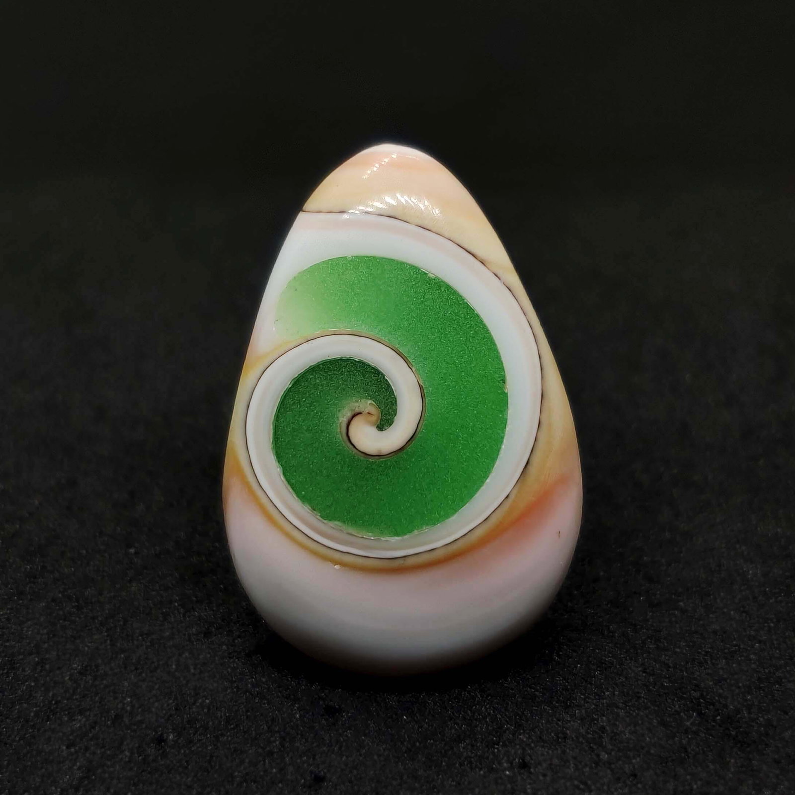 17.25 ct Very Rare Natural Snail Fossil: All the stones listed are 100% natural and rarely selected from a big quantity lot also these are of very high quality. BID WITH CONFIDENCE!!! DIMENSIONS : 25X16X6.6 mm