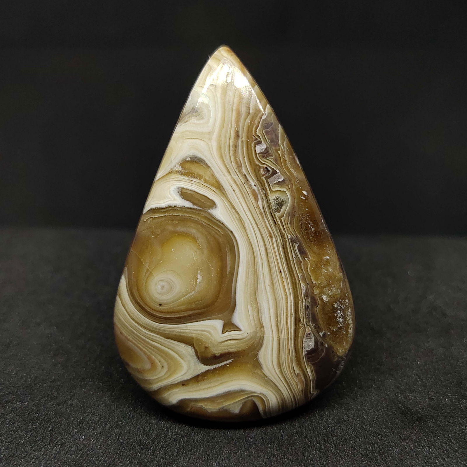 50.50 ct Natural Palm Root Agate (1 of 2)