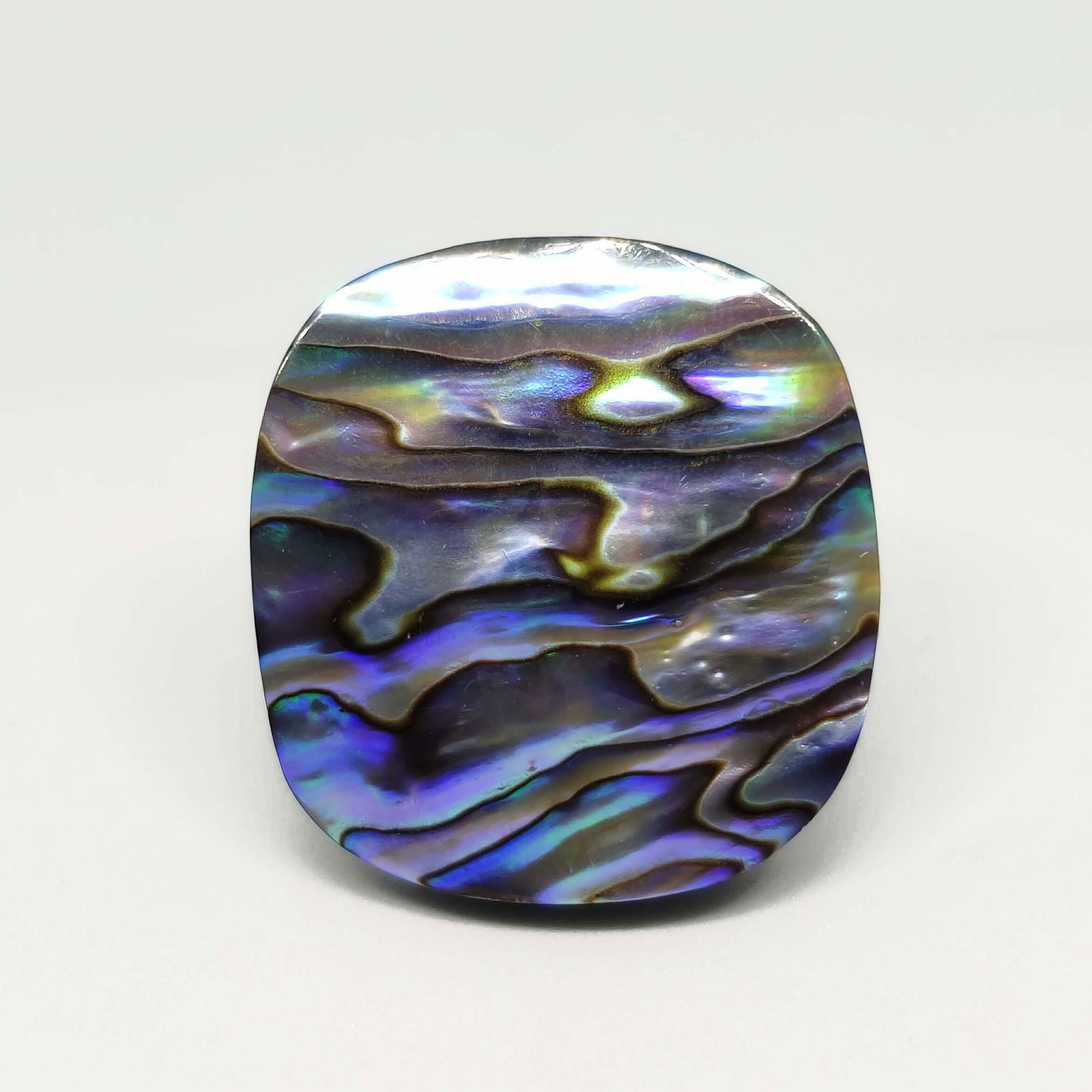 55.65 ct Natural Abalone Shell (1 of 1)