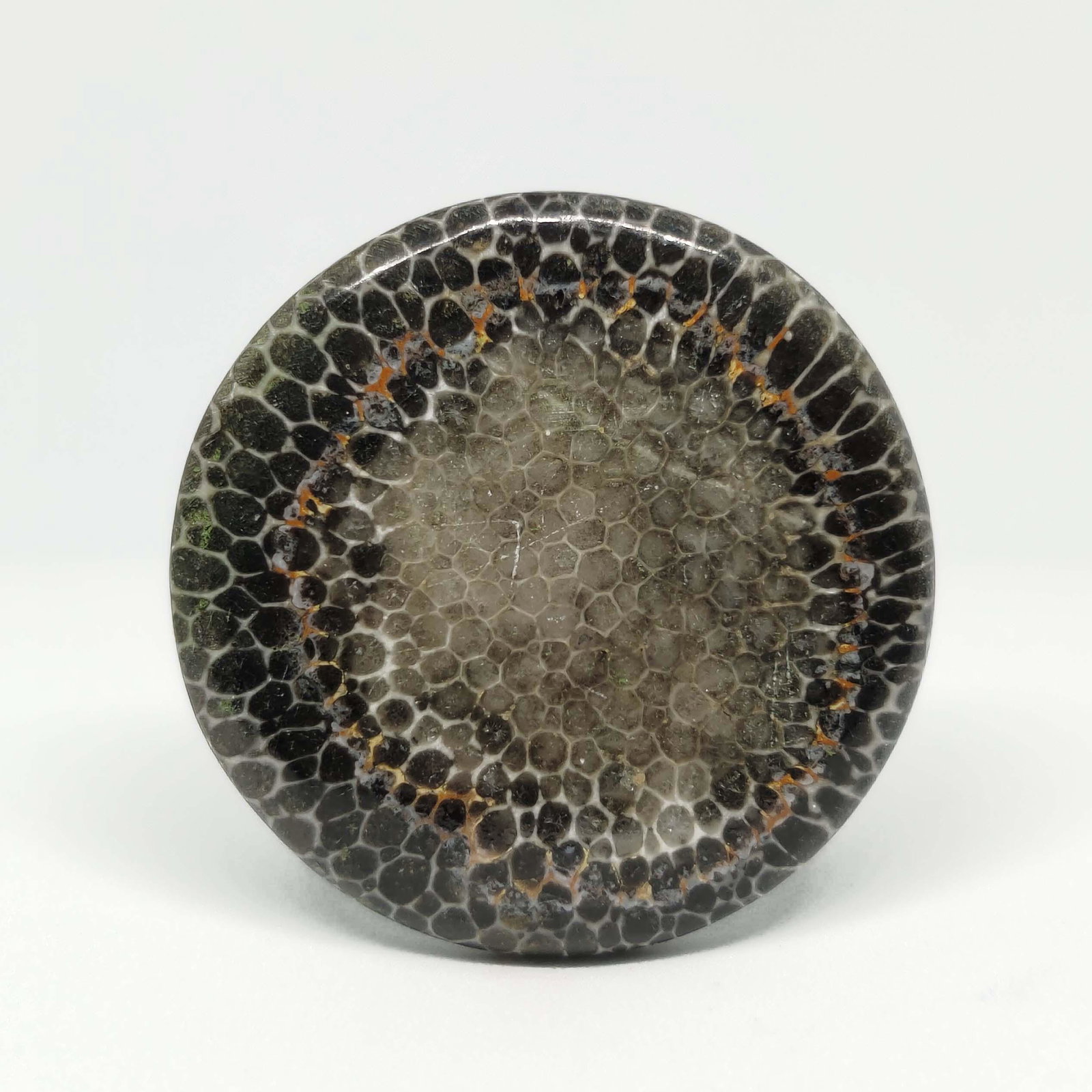 38.00 ct Natural String Rey Fossil Coral: All the stones listed are 100% natural and rarely selected from a big quantity lot also these are of very high quality. BID WITH CONFIDENCE!!! DIMENSIONS : 32X32X4 mm