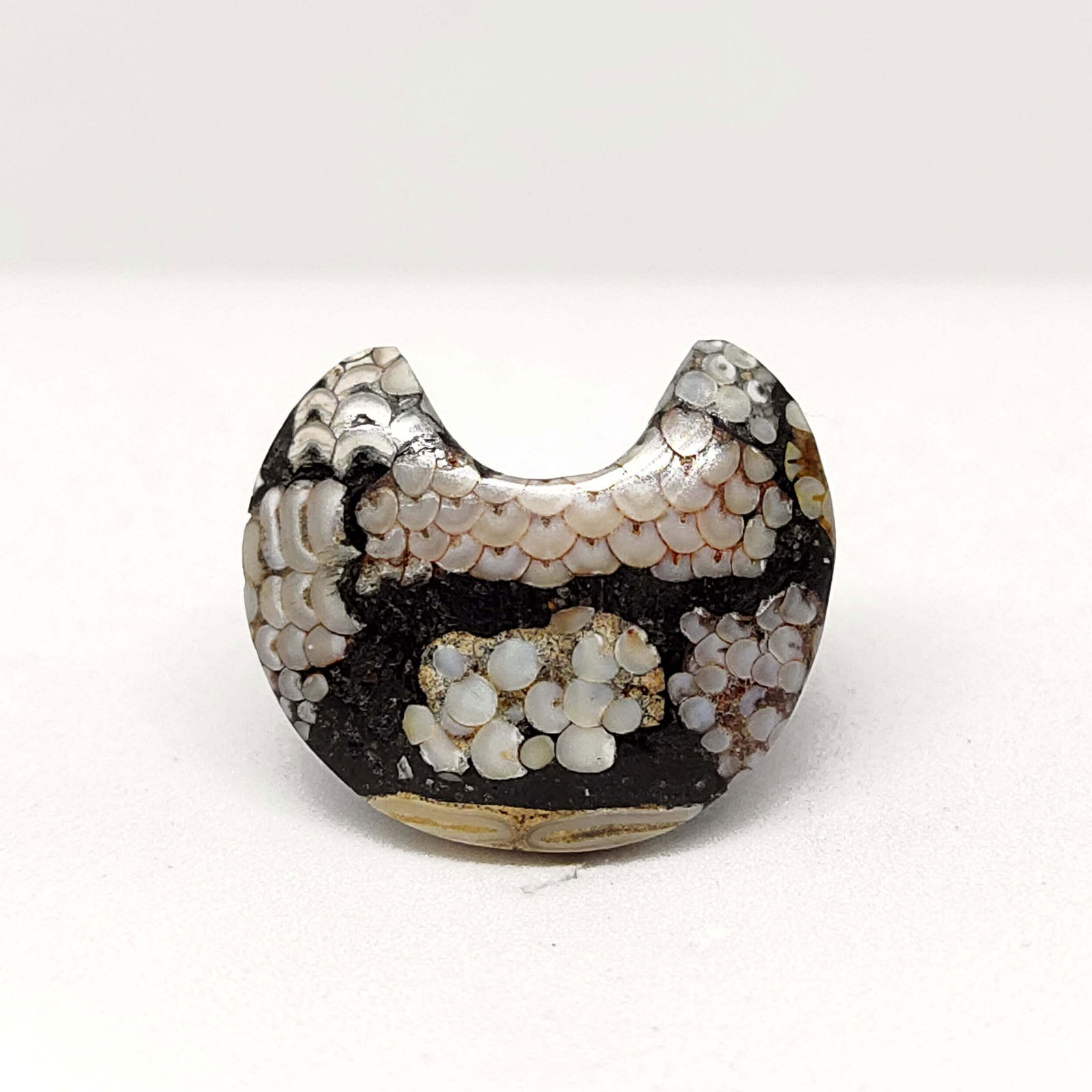 11.30 ct Natural Snake Skin Fossil (1 of 1)