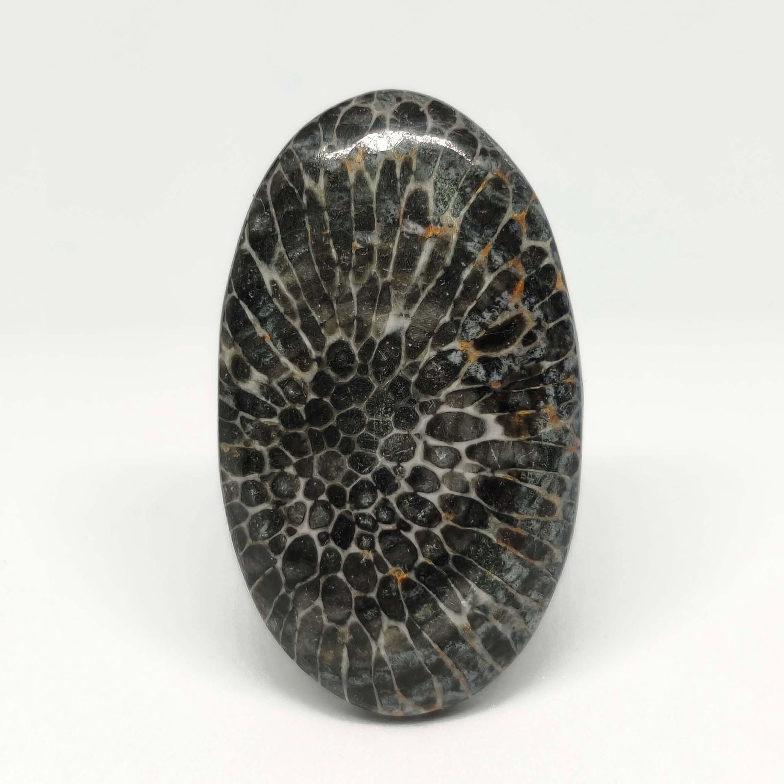 29.00 ct Natural String Rey Fossil Coral: All the stones listed are 100% natural and rarely selected from a big quantity lot also these are of very high quality. BID WITH CONFIDENCE!!! DIMENSIONS : 34X19X5.3 mm