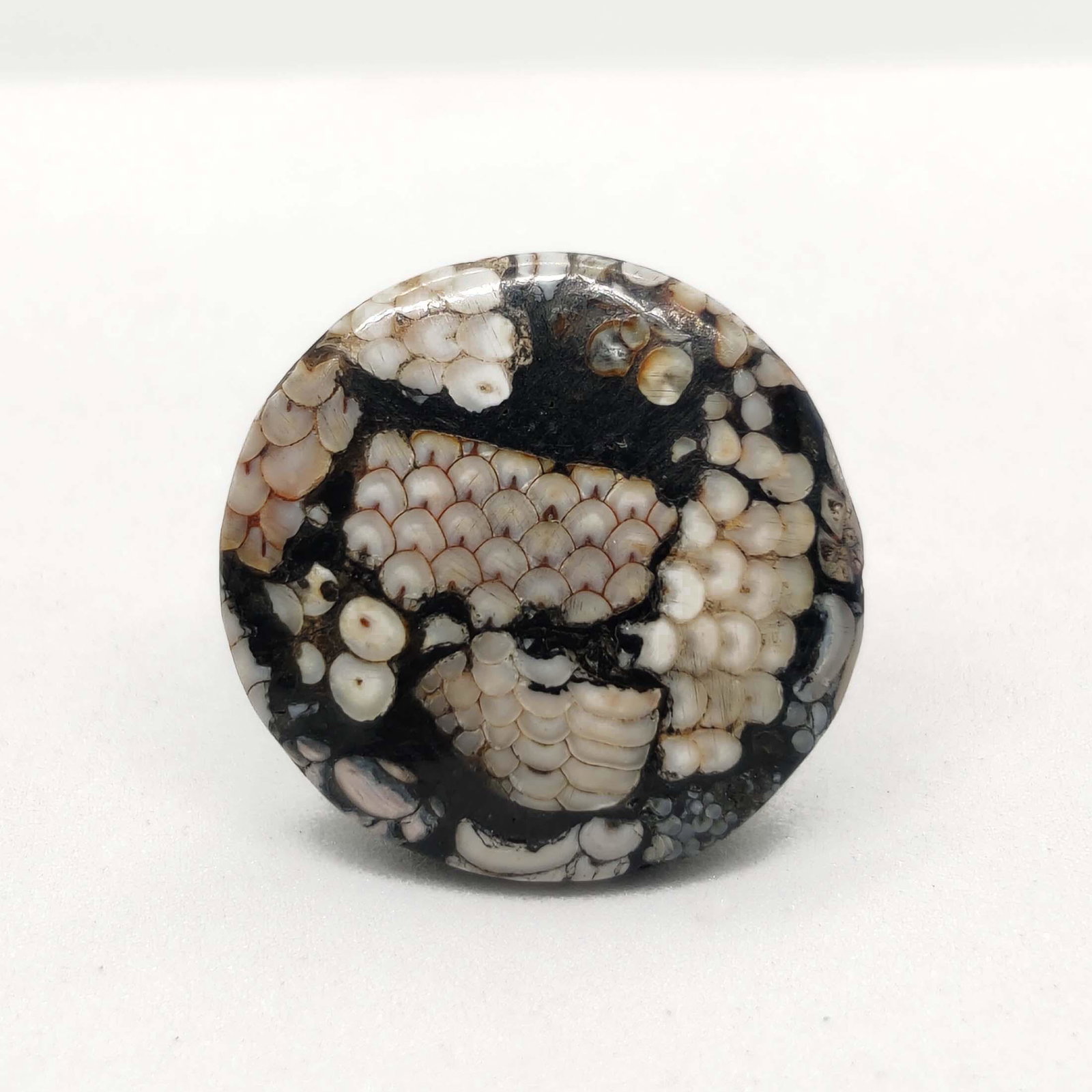 15.00 ct Natural Snake Skin Fossil: All the stones listed are 100% natural and rarely selected from a big quantity lot also these are of very high quality. BID WITH CONFIDENCE!!! DIMENSIONS : 19X19X6 mm