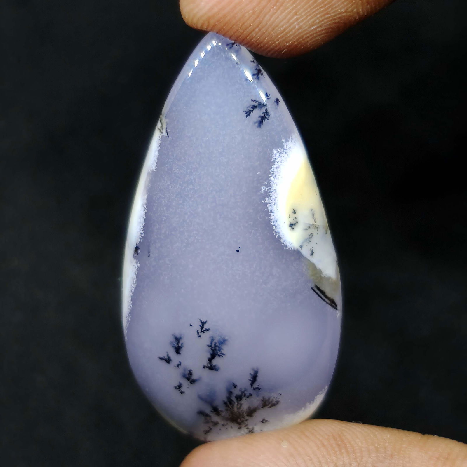 45.60 ct Top Grade Natural Dendrite Opal (1 of 1)