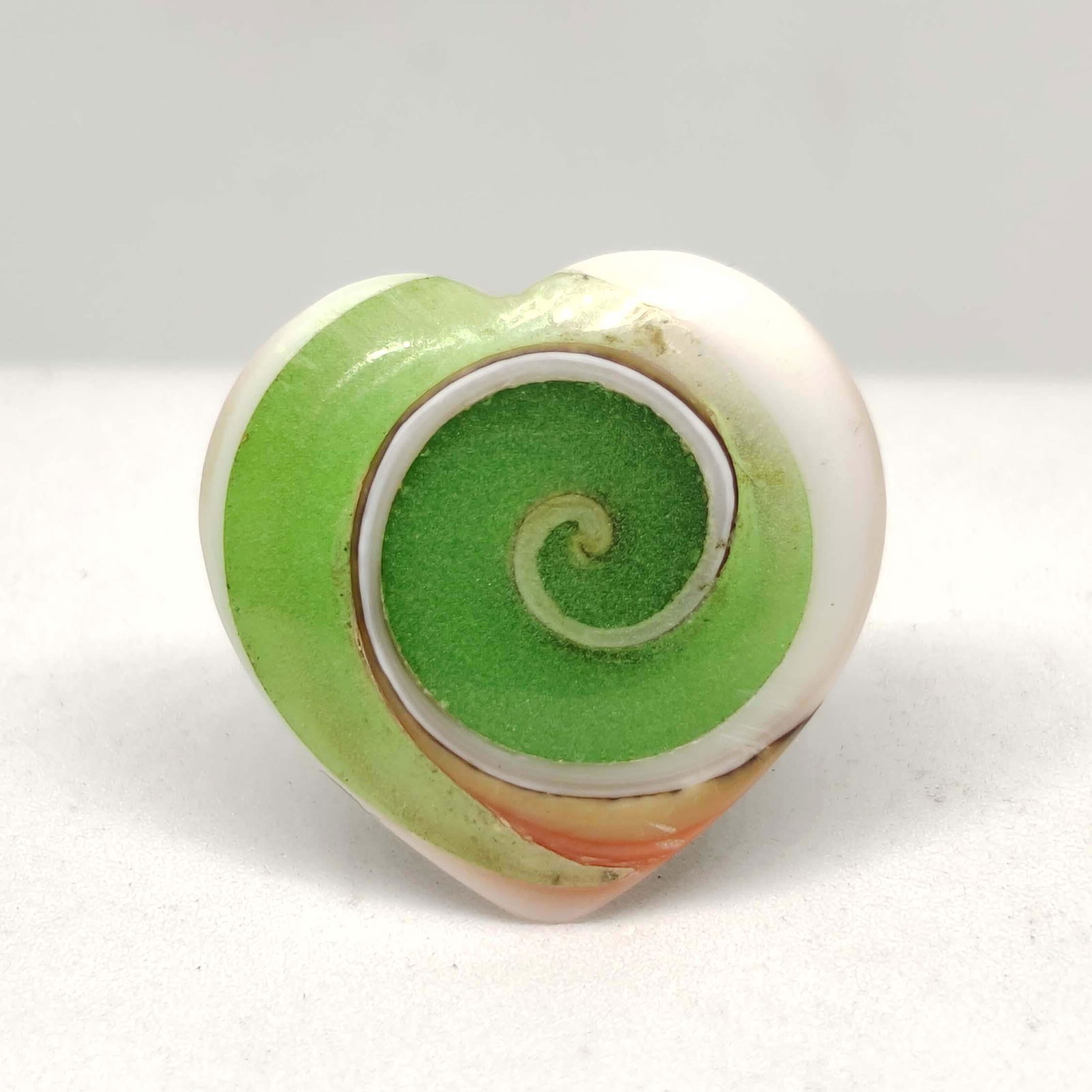 20.30 ct Very Rare Natural Snail Fossil: All the stones listed are 100% natural and rarely selected from a big quantity lot also these are of very high quality. BID WITH CONFIDENCE!!! DIMENSIONS : 22X22X7 mm