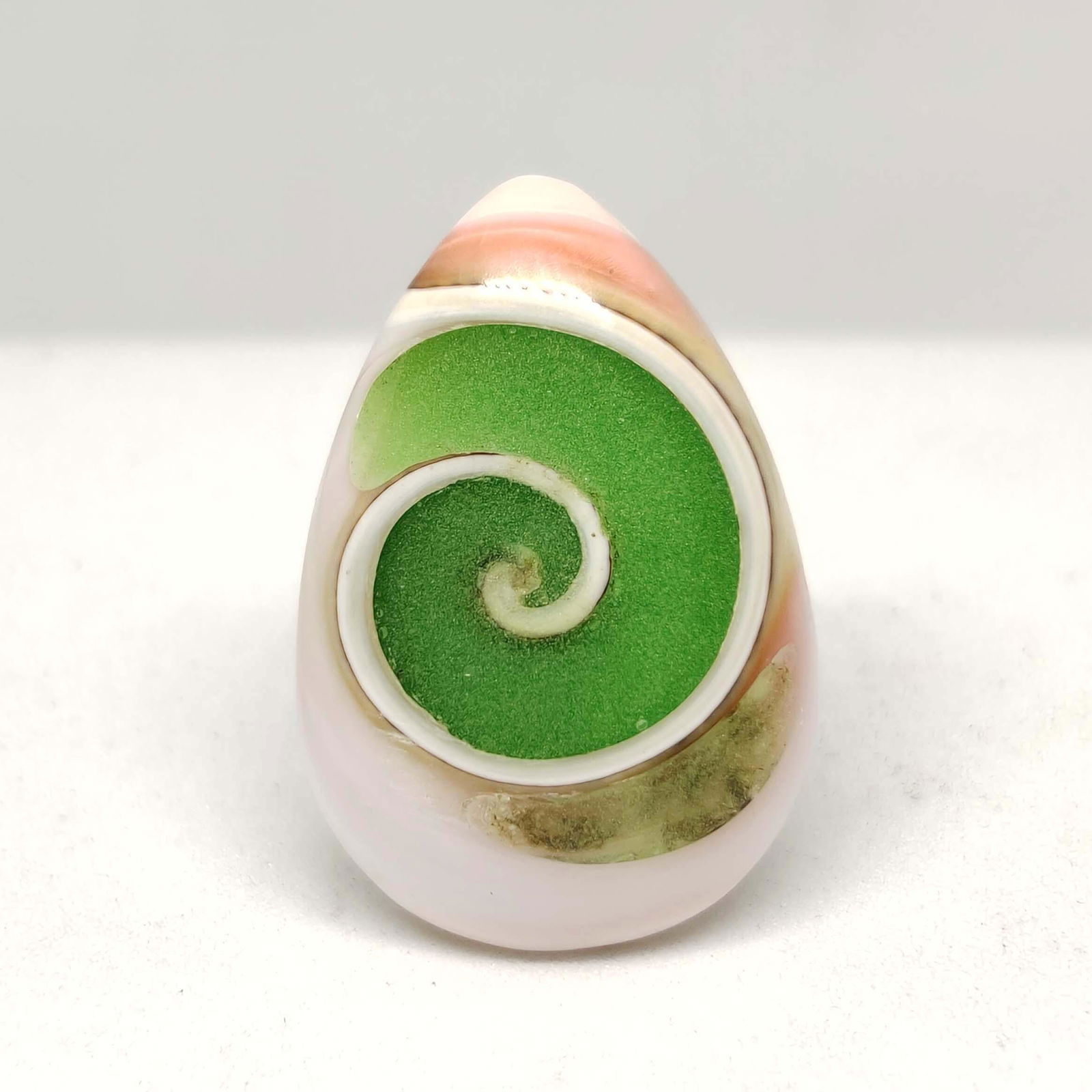 21.35 ct Very Rare Natural Snail Fossil: All the stones listed are 100% natural and rarely selected from a big quantity lot also these are of very high quality. BID WITH CONFIDENCE!!! DIMENSIONS : 25X17X8 mm