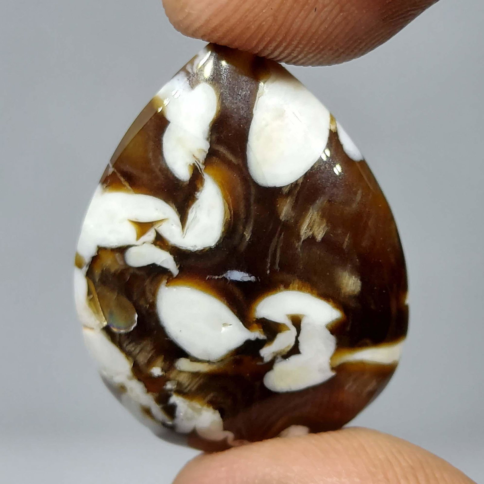 19.50 ct Natural Peanut Jasper (1 of 1)
