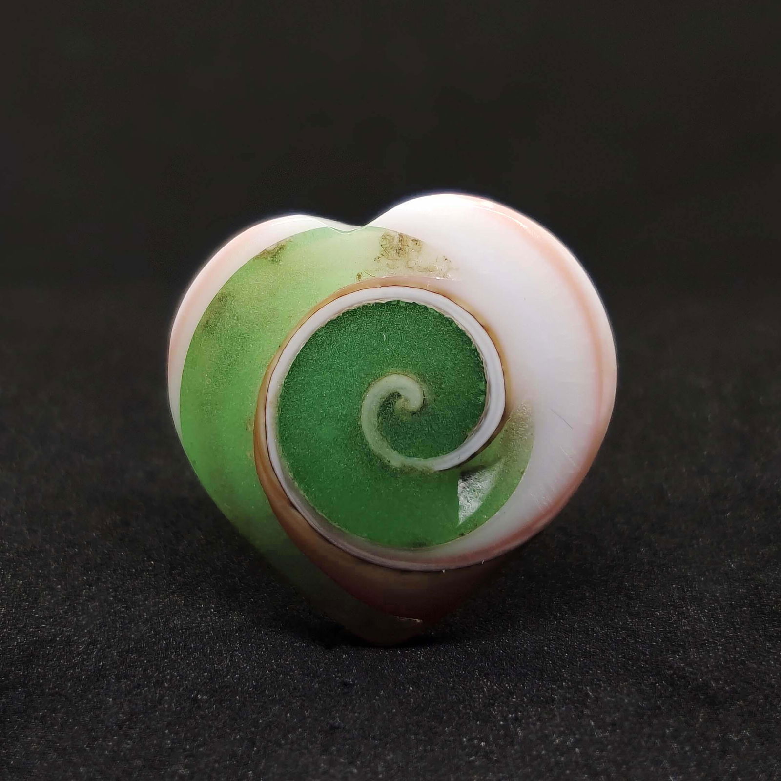 23.05 ct Natural Snail Fossil: All the stones listed are 100% natural and rarely selected from a big quantity lot also these are of very high quality. BID WITH CONFIDENCE!!! DIMENSIONS : 23X23X7 mm