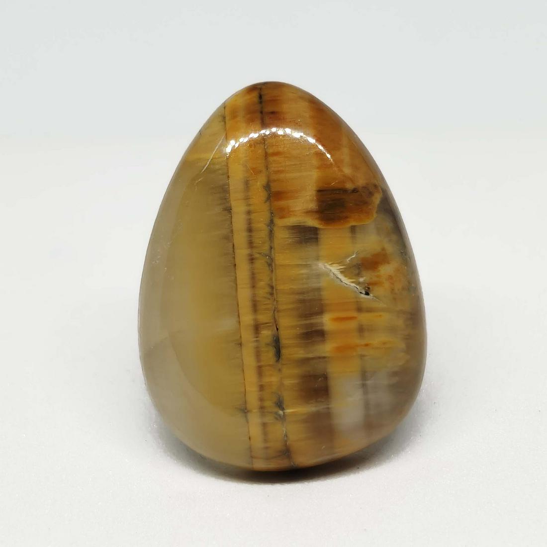 15.30 ct Natural Tiger Bee Jasper: All the stones listed are 100% natural and rarely selected from a big quantity lot also these are of very high quality. BID WITH CONFIDENCE!!! DIMENSIONS : 22X16X5 mm