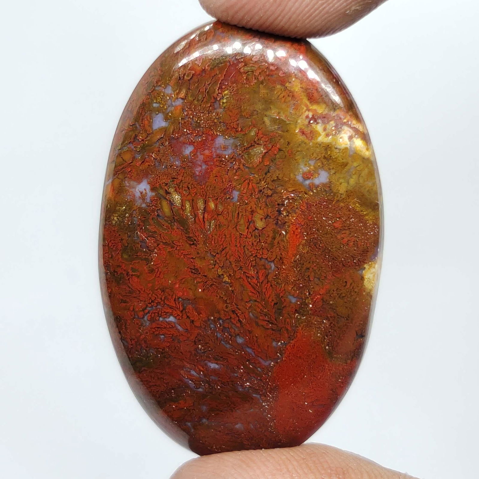 48.75 ct Natural Red Dinosaur Bone Jasper: All the stones listed are 100% natural and rarely selected from a big quantity lot also these are of very high quality. BID WITH CONFIDENCE!!! DIMENSIONS : 41X24X5 mm