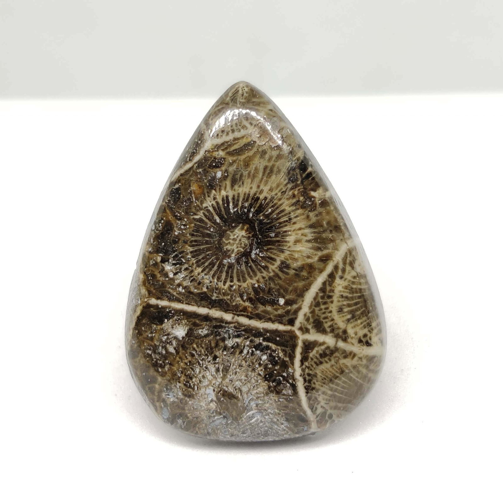 22.15 ct Natural Spider Web Fossil Coral: All the stones listed are 100% natural and rarely selected from a big quantity lot also these are of very high quality. BID WITH CONFIDENCE!!! DIMENSIONS : 29X21X5 mm