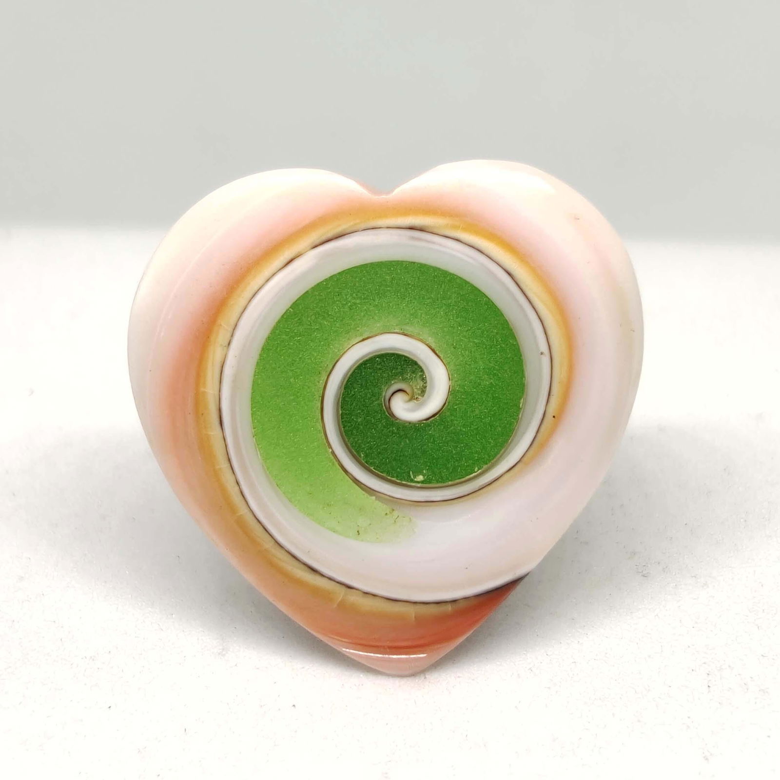 22.45 ct Natural Snail Fossil: All the stones listed are 100% natural and rarely selected from a big quantity lot also these are of very high quality. BID WITH CONFIDENCE!!! DIMENSIONS : 23X23X6 mm