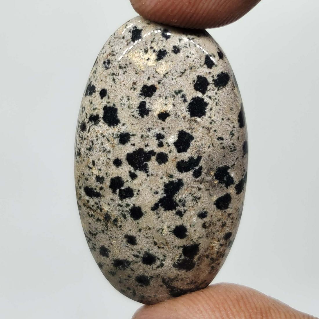 36.00 ct Natural Dalmatian Jasper: All the stones listed are 100% natural and rarely selected from a big quantity lot also these are of very high quality. BID WITH CONFIDENCE!!! DIMENSIONS : 35X20X6 mm