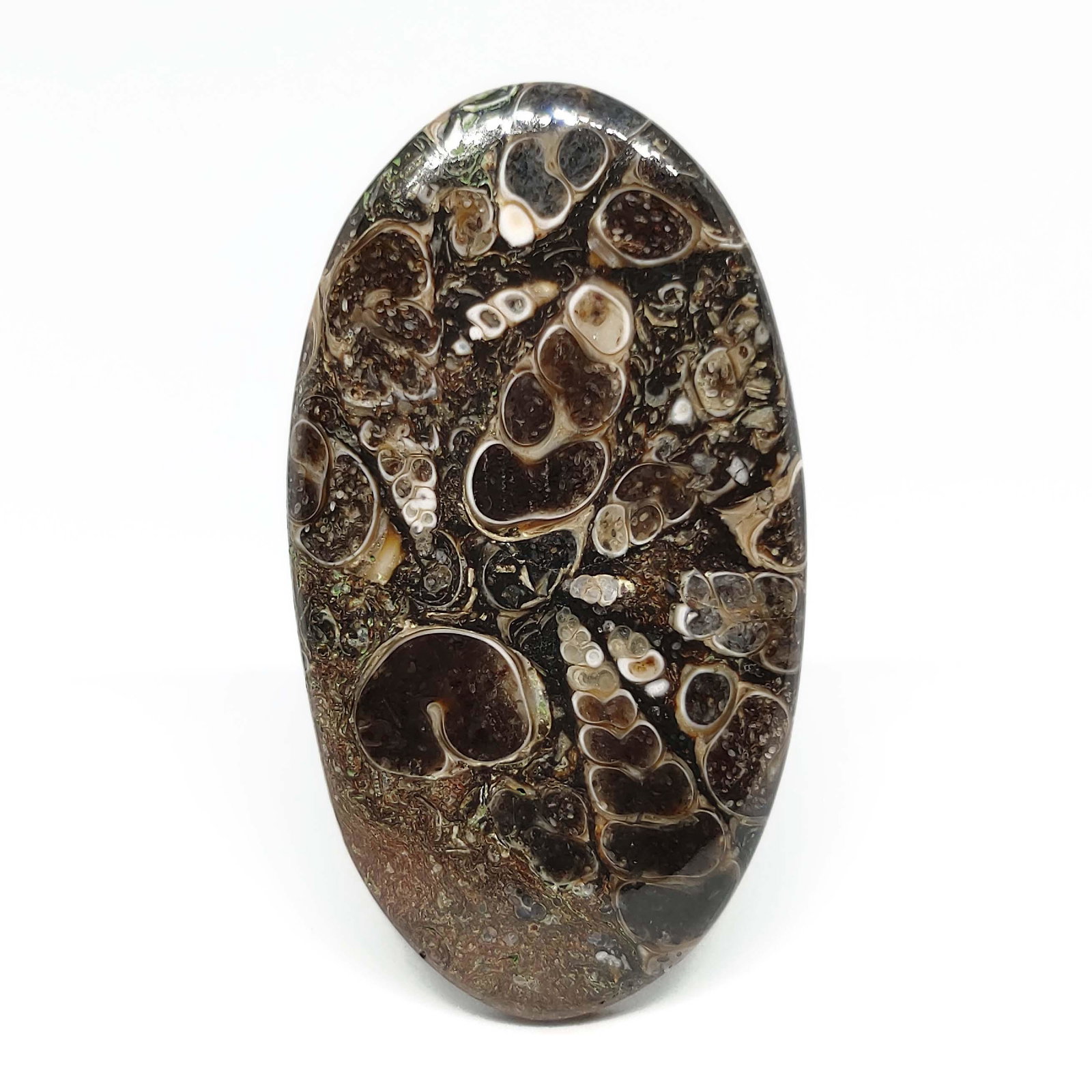 85.30 ct Top Grade Natural Turtella Jasper: All the stones listed are 100% natural and rarely selected from a big quantity lot also these are of very high quality. BID WITH CONFIDENCE!!! DIMENSIONS : 57X3X6 mm