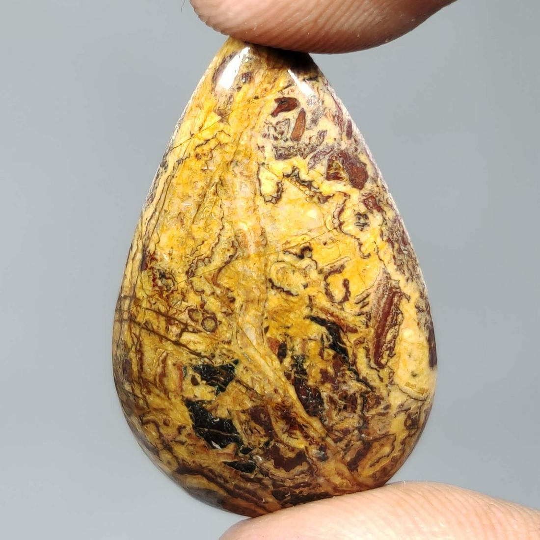 27.10 ct  Natural German Mariam Jasper (1 of 1)