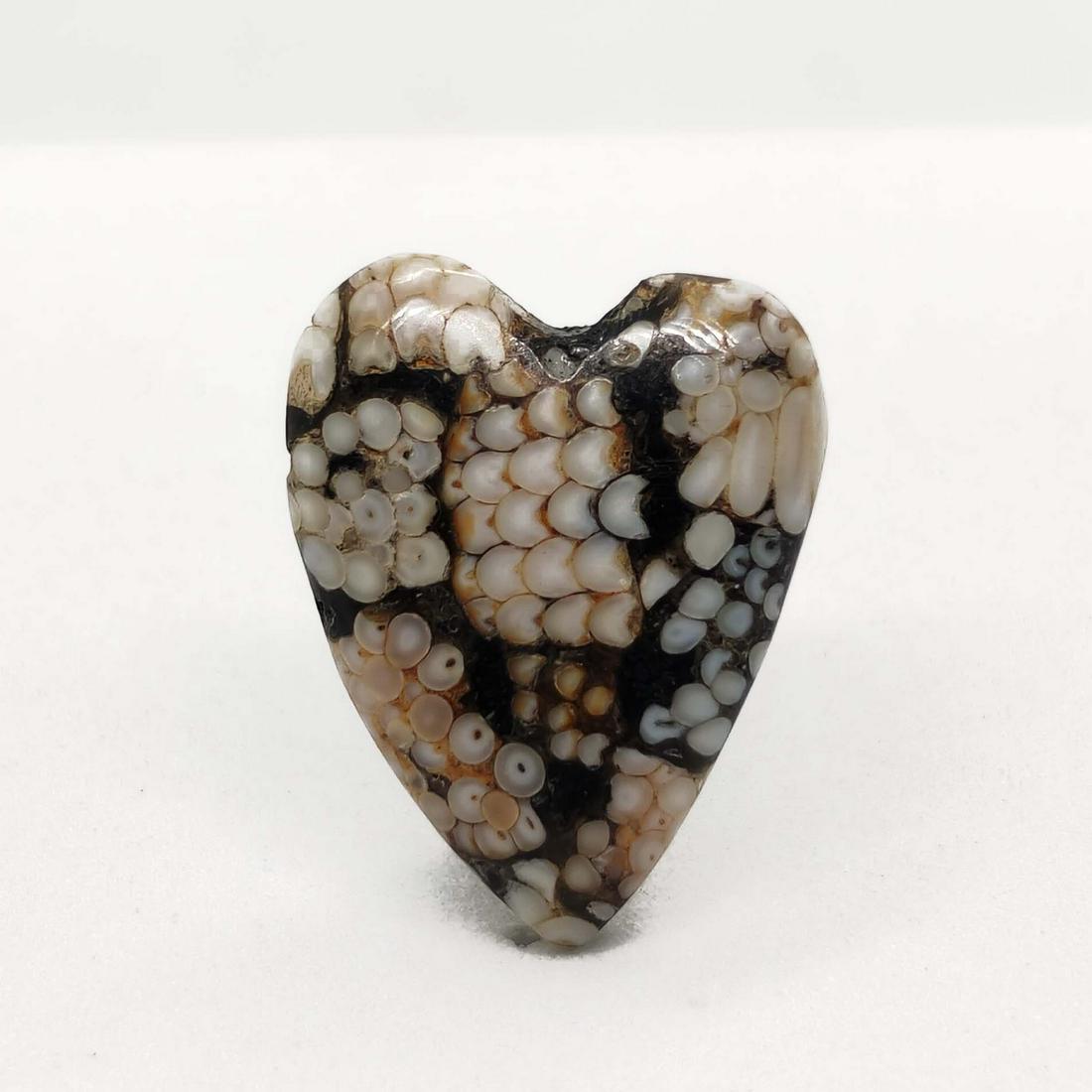 11.90 ct Natural Snake Skin Fossil: All the stones listed are 100% natural and rarely selected from a big quantity lot also these are of very high quality. BID WITH CONFIDENCE!!! DIMENSIONS : 20X16X5 mm