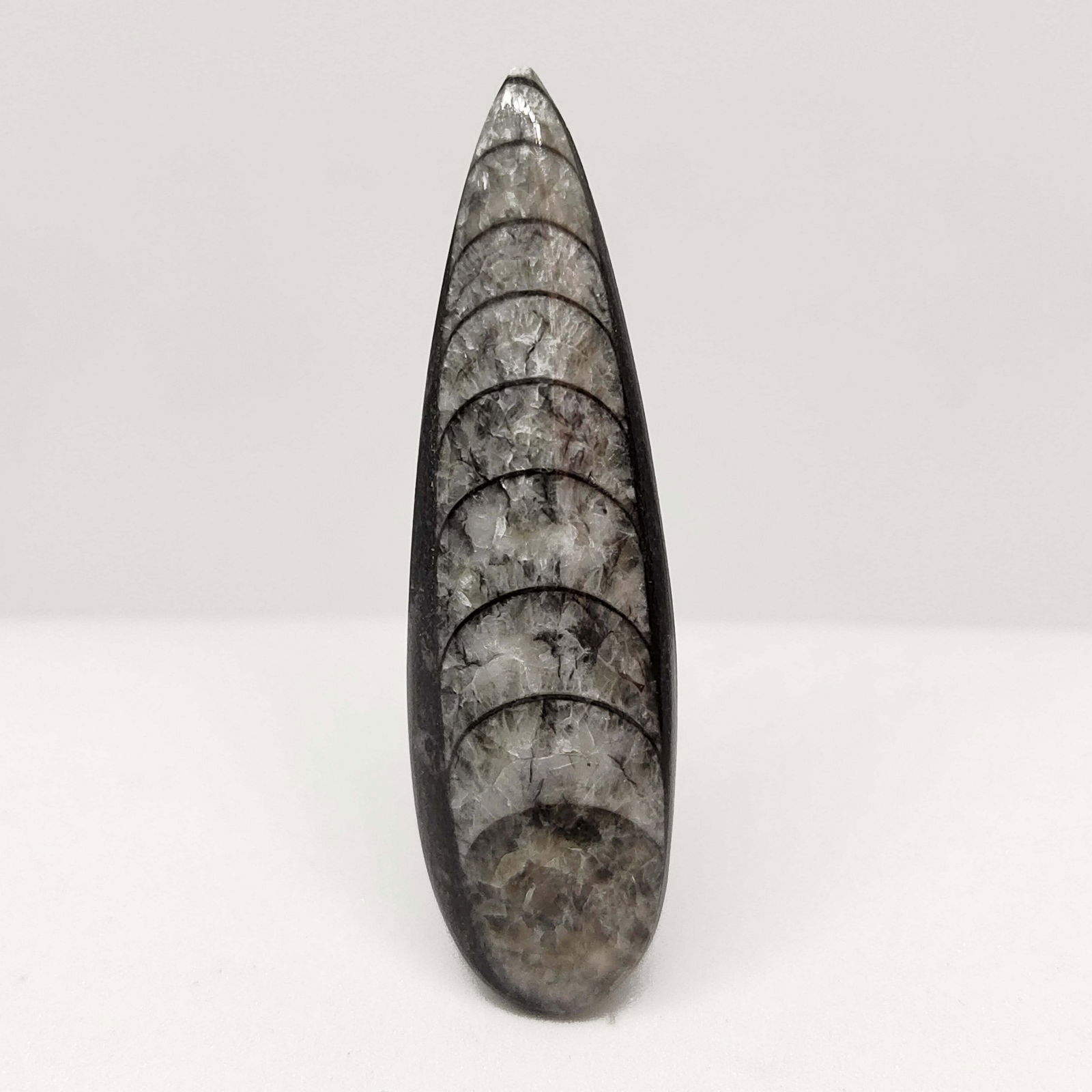 29.45 ct Natural Orthoceras Fossil: All the stones listed are 100% natural and rarely selected from a big quantity lot also these are of very high quality. BID WITH CONFIDENCE!!! DIMENSIONS : 48.20X13.95X6.14 mm