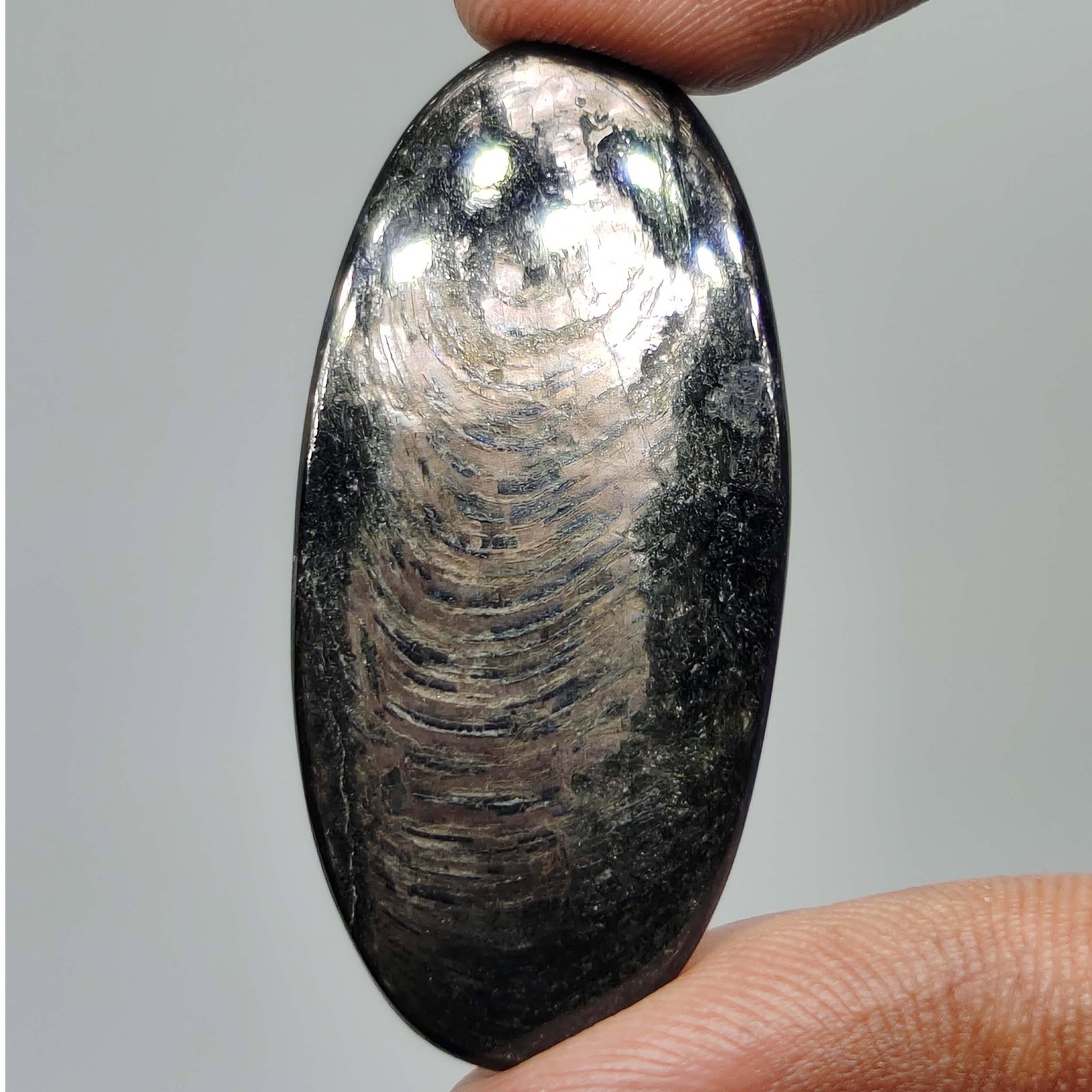 28.10 ct Top Grade Natural Hypersthene (1 of 1)