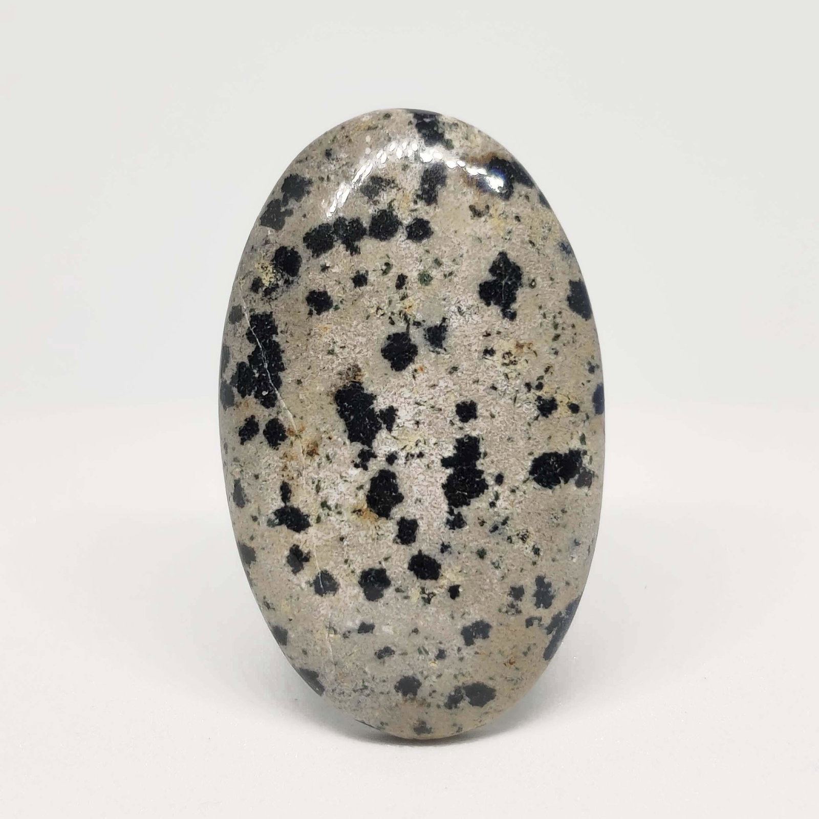 26.10 ct Natural Dalmatian Jasper: All the stones listed are 100% natural and rarely selected from a big quantity lot also these are of very high quality. BID WITH CONFIDENCE!!! DIMENSIONS : 32X19.5X5 mm